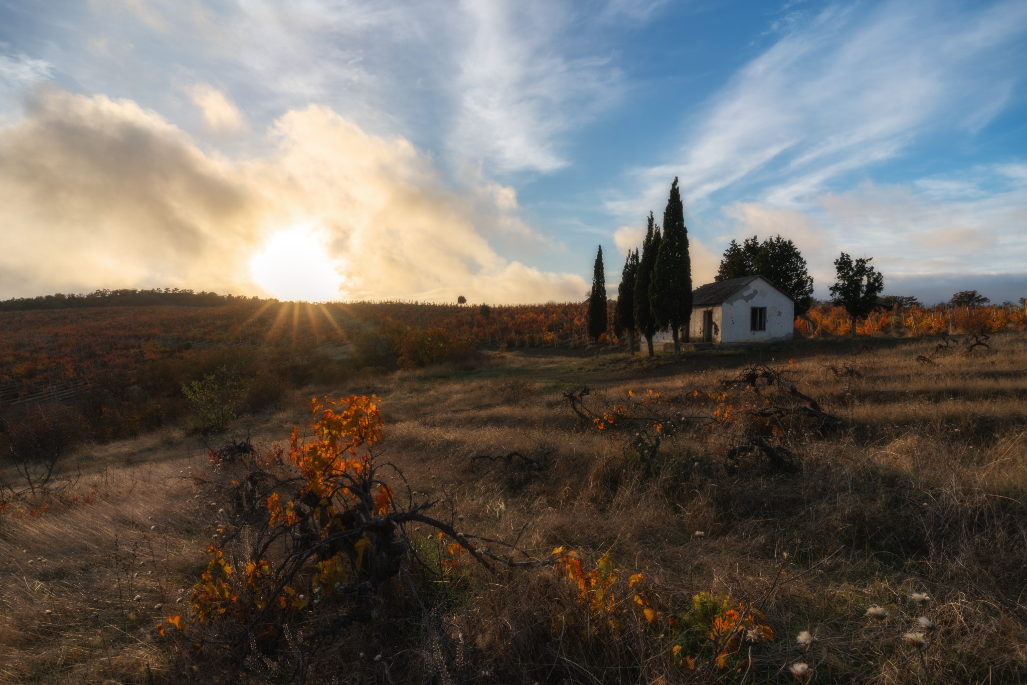 , Юлия Мальцева