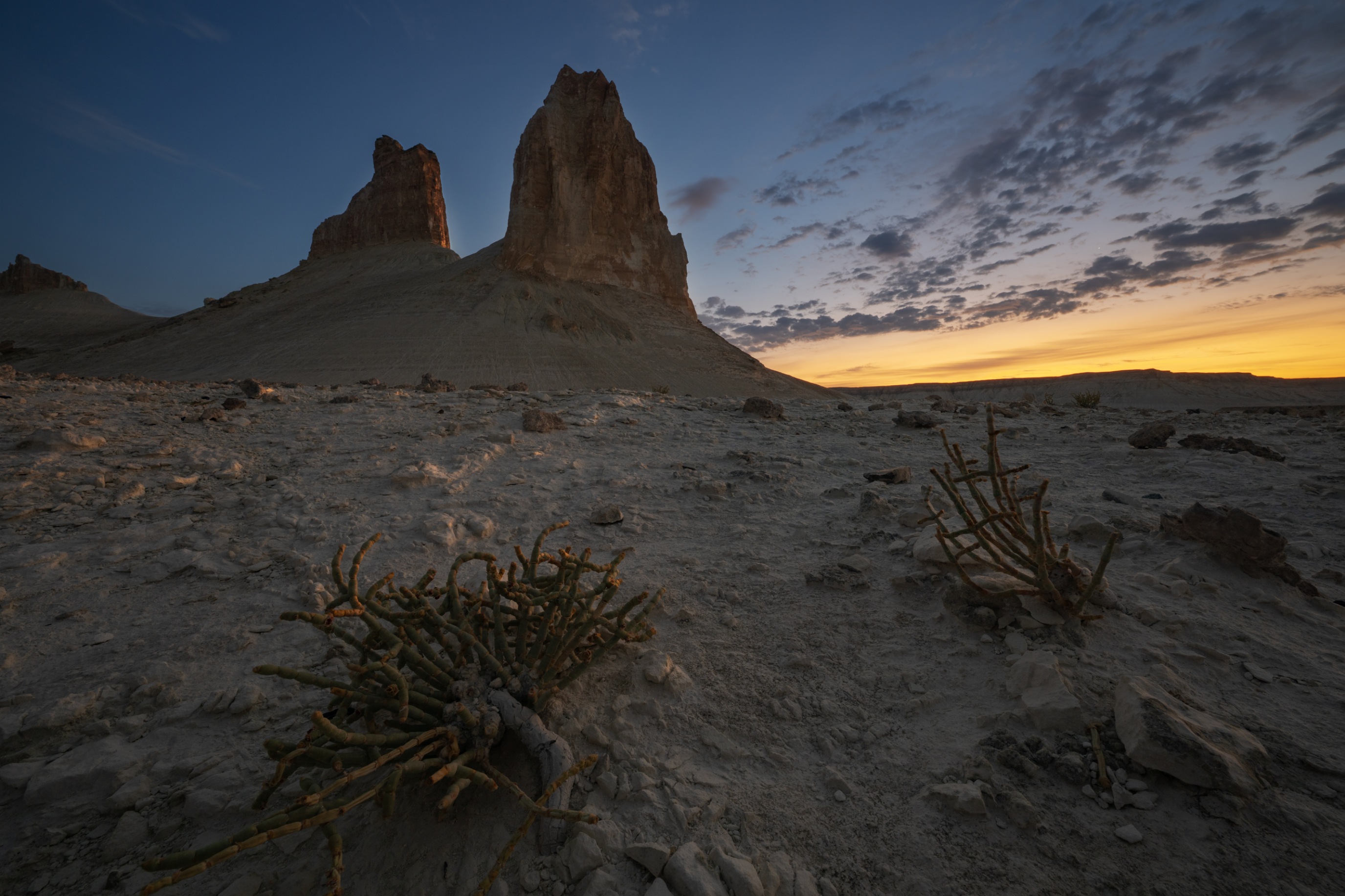 , Ширгин Сергей