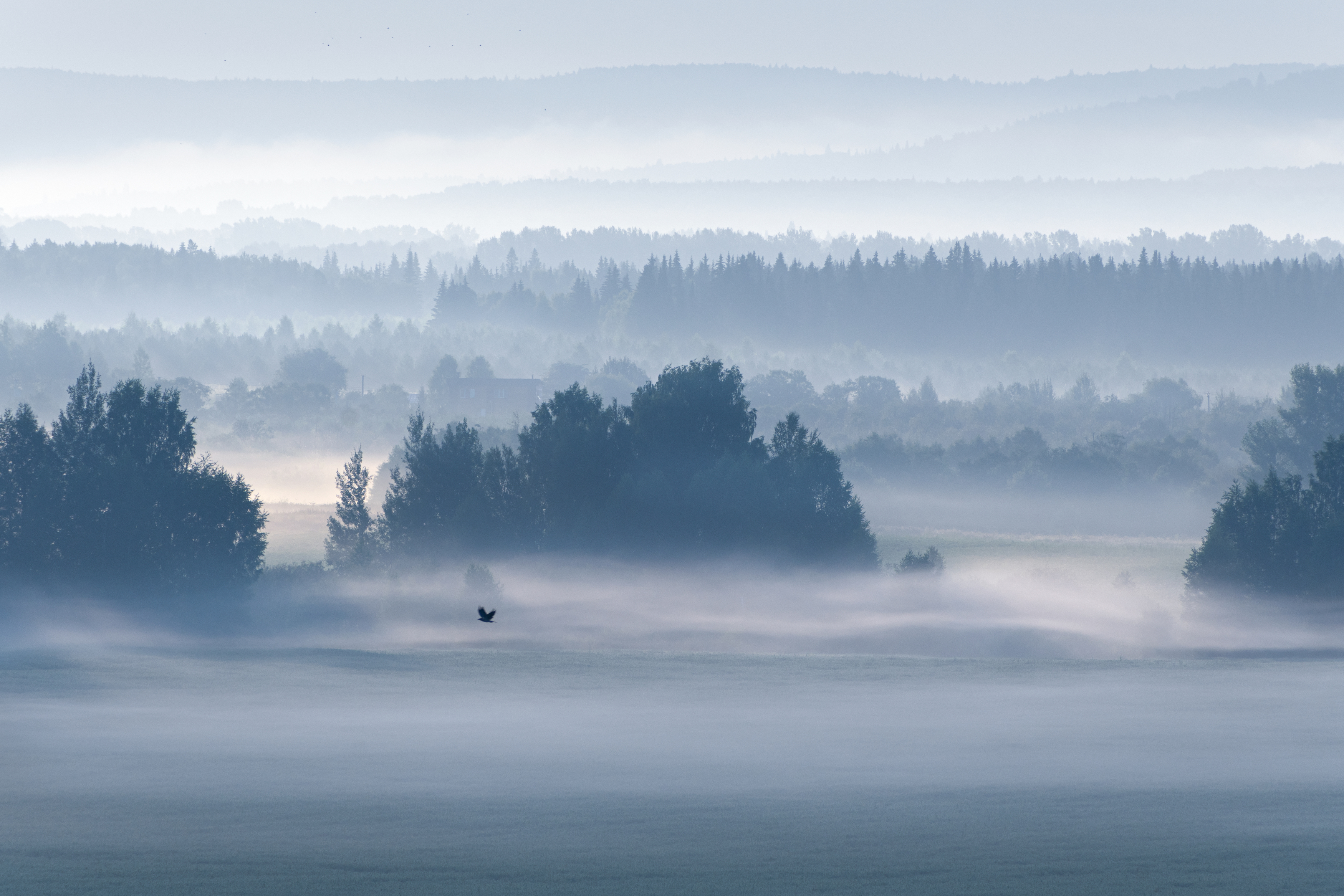 пейзаж, природа, лес, туман, урал, россия,, Евгений Гецев