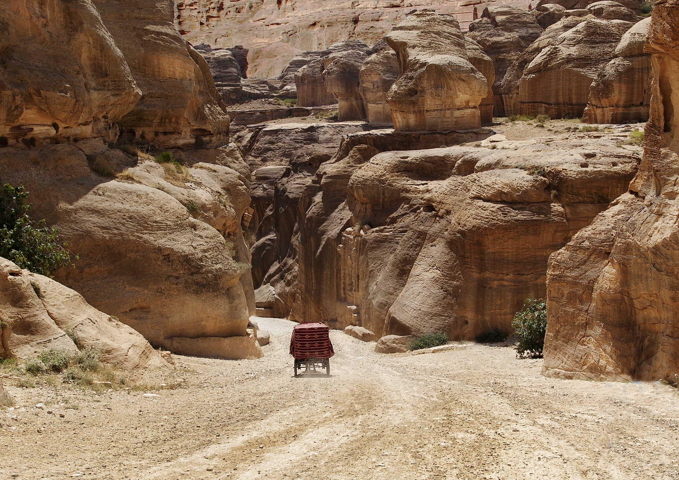 петра, иордания, бричка, двуколка, дорога, путь, Ходос Илья