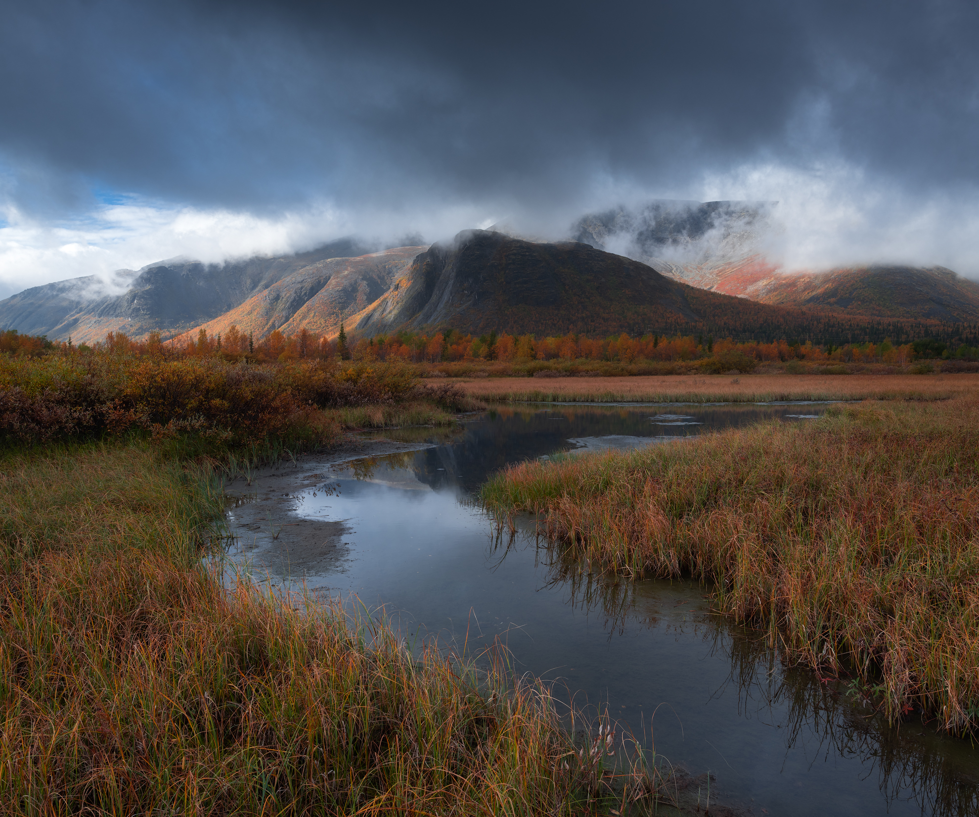 , Истомин Виталий