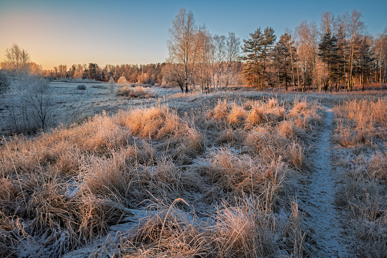 , Евгений Ерохин