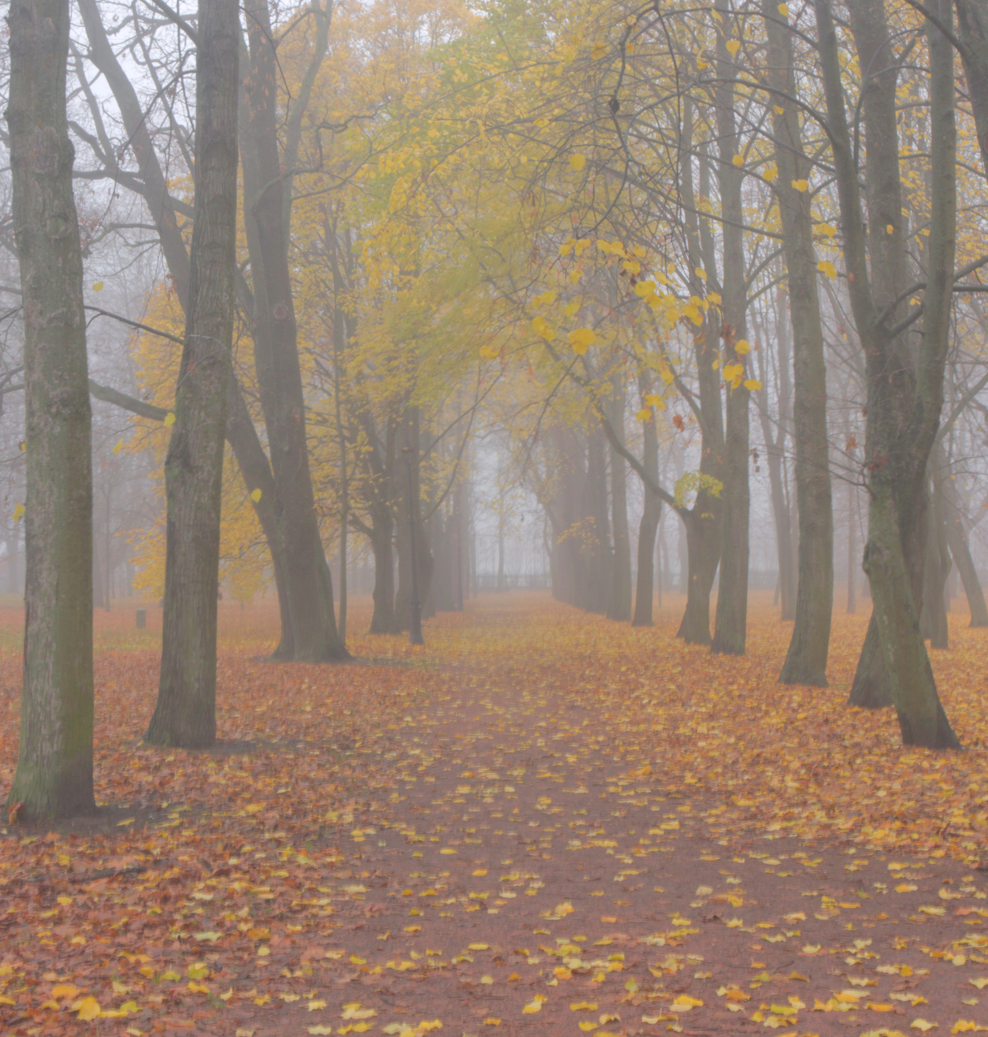 , Сергей Григорьев