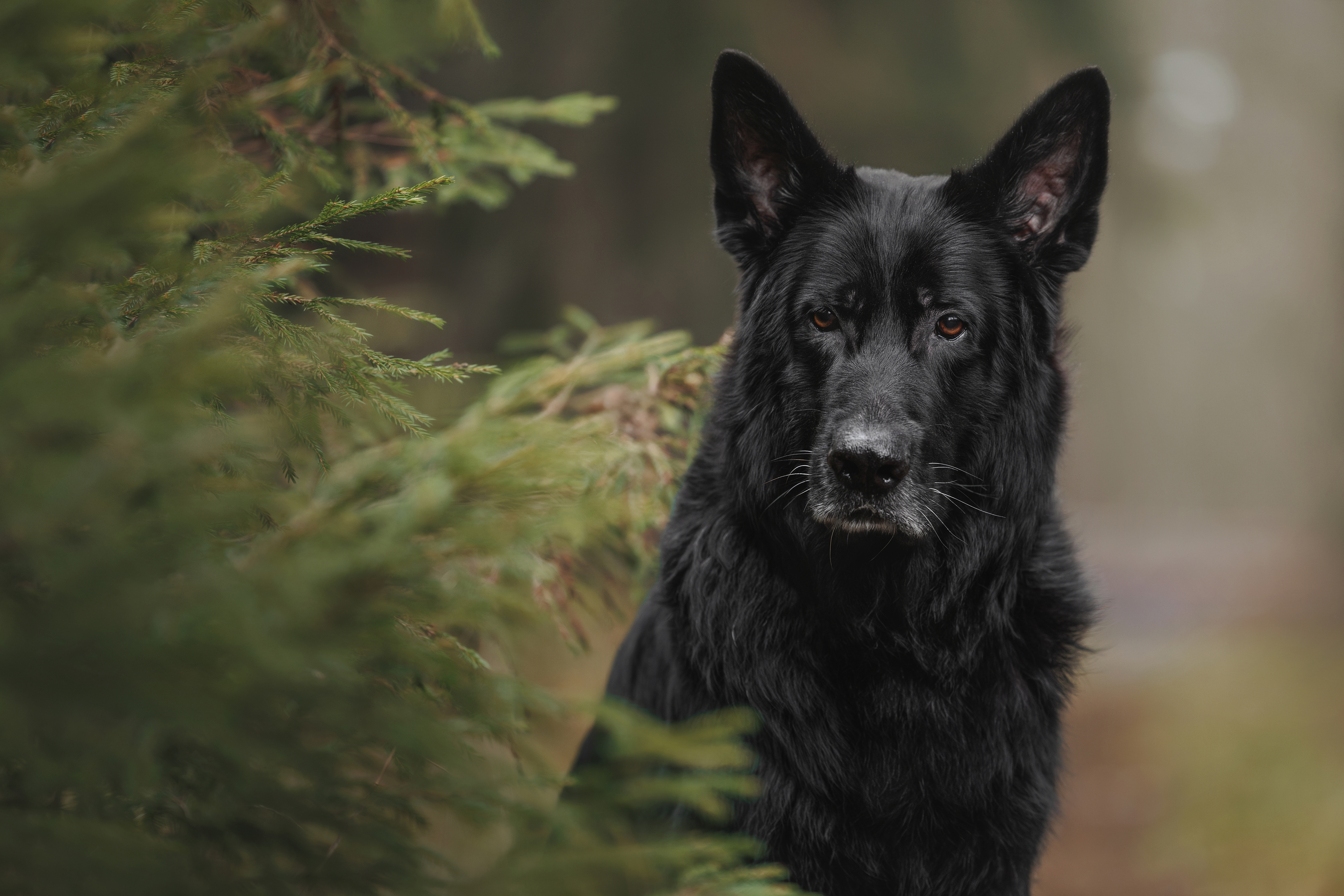 , Яна Нарбутович