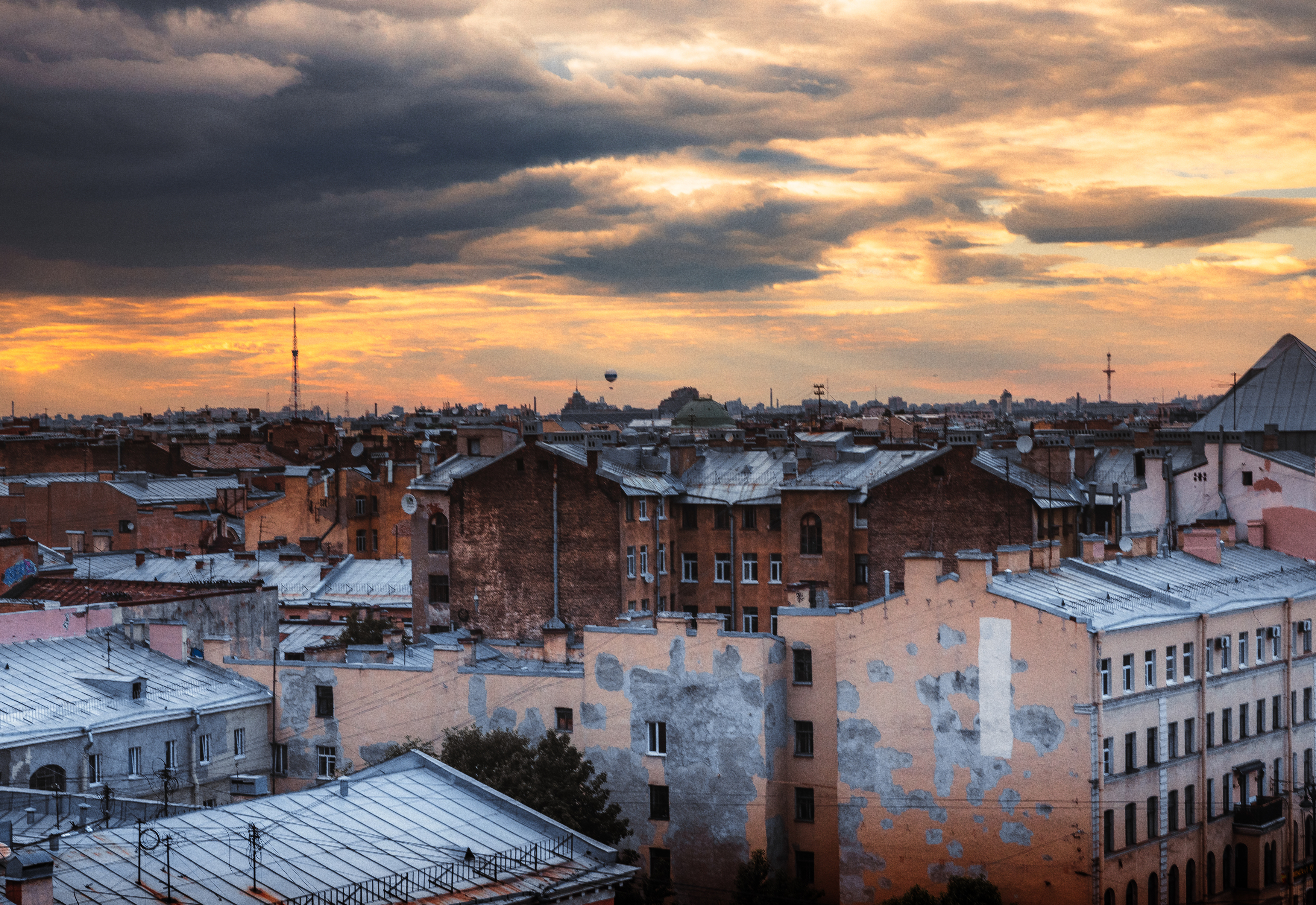 , Трепольский Дмитрий