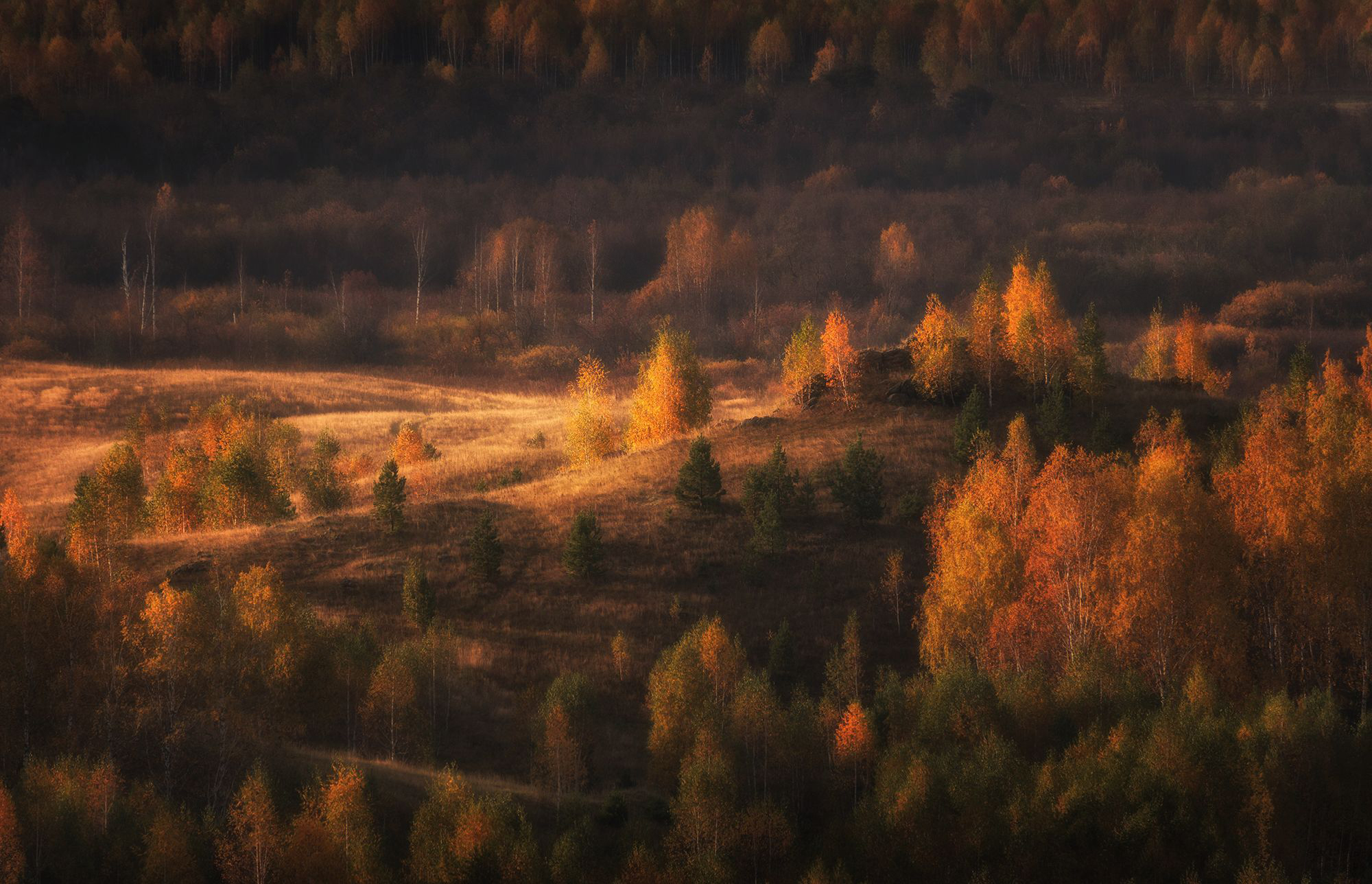 , Бирюкова Татьяна