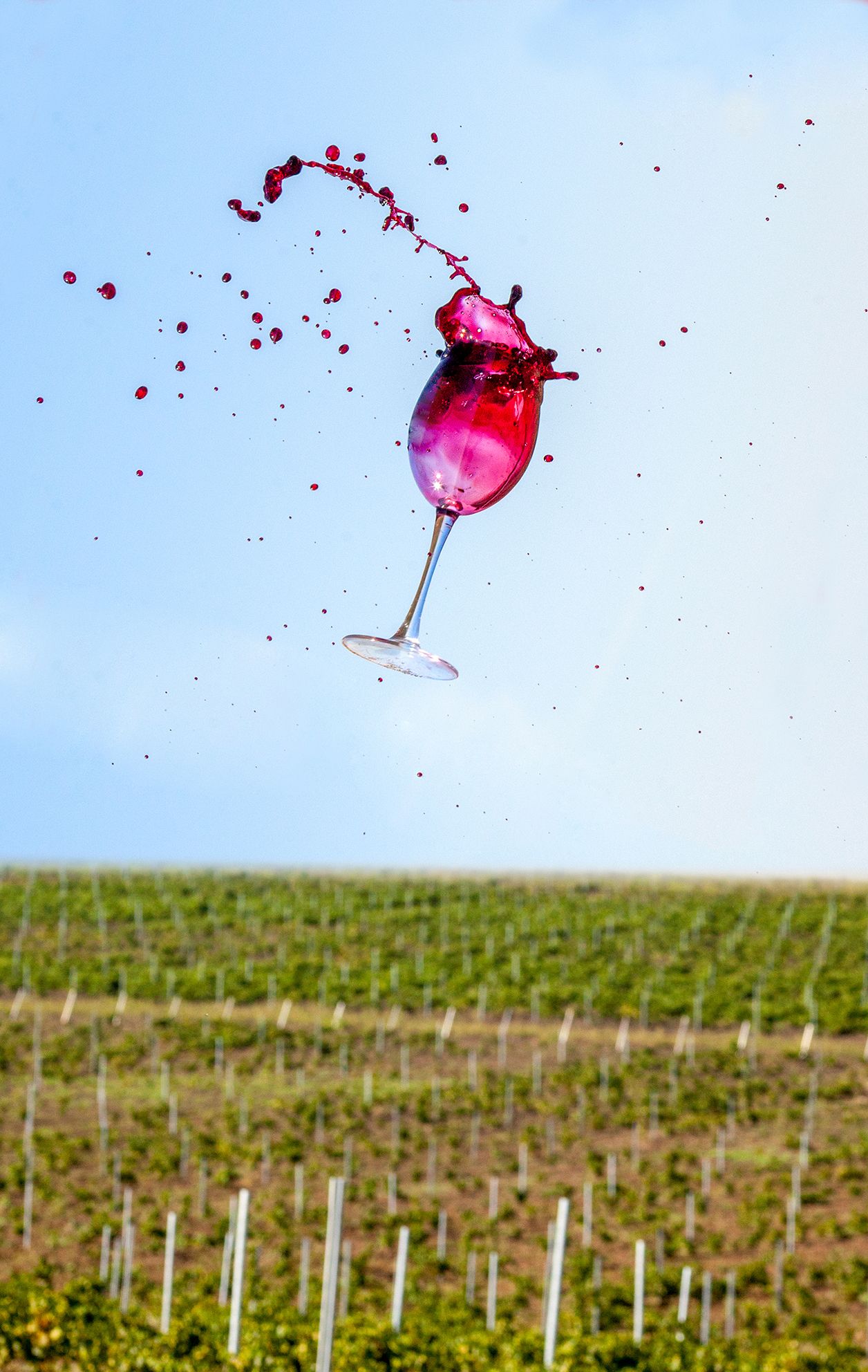 , Андрей Петросян