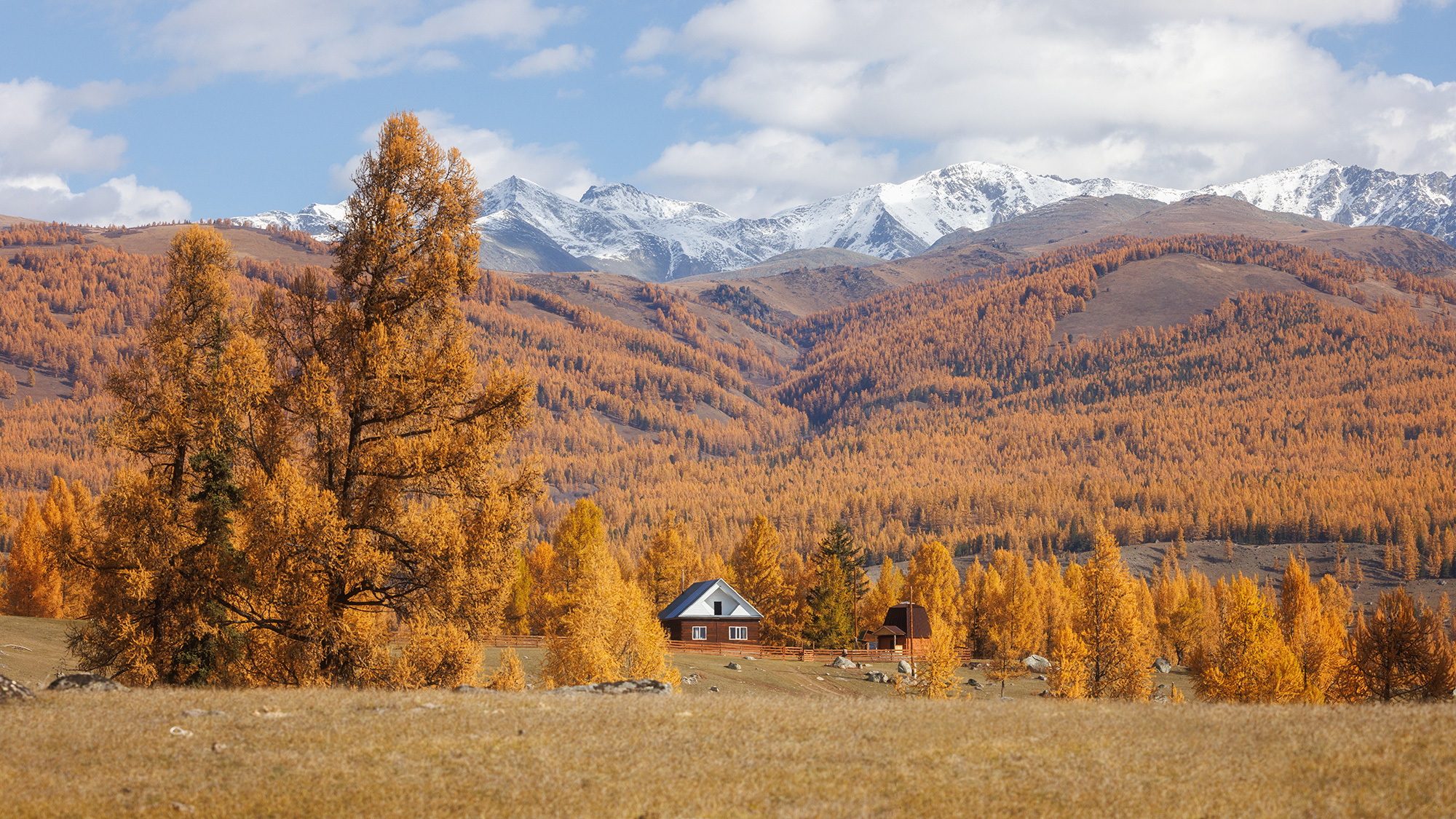 , Морозов Сергей