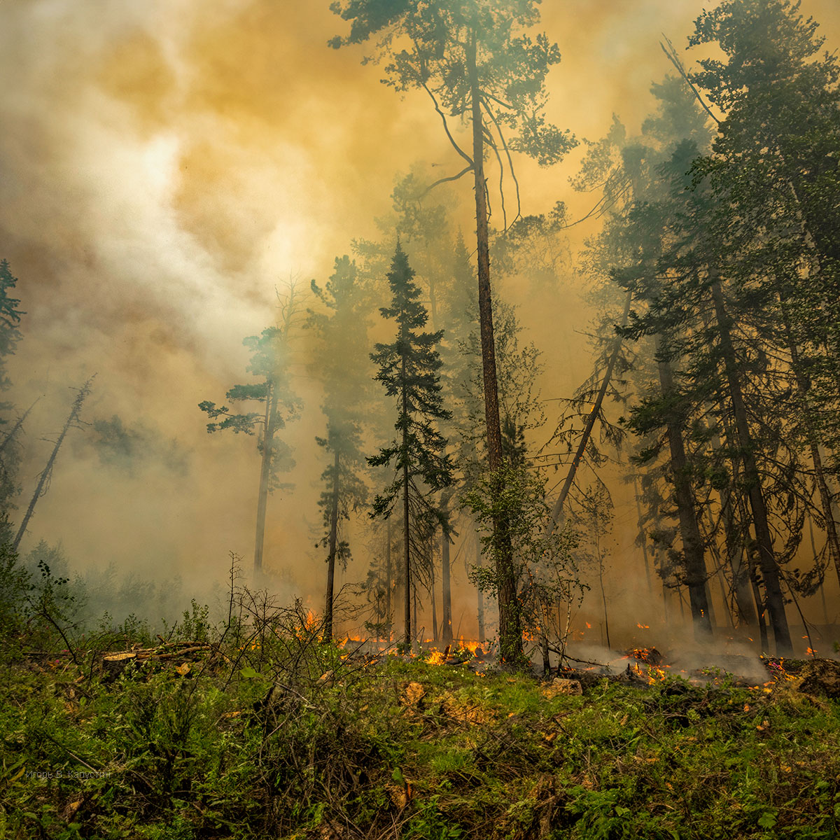 , Капустин Игорь