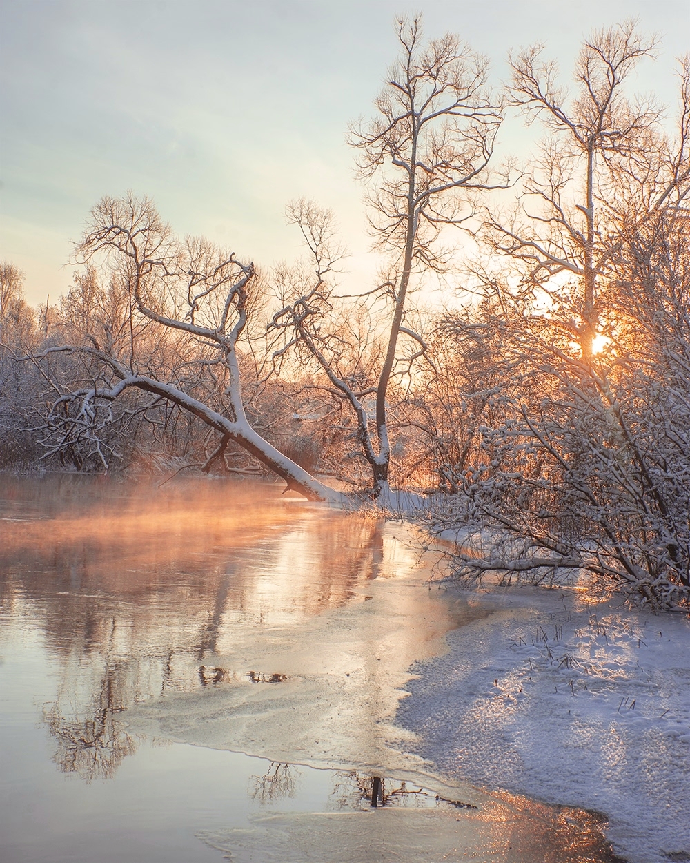 , Петр Косых