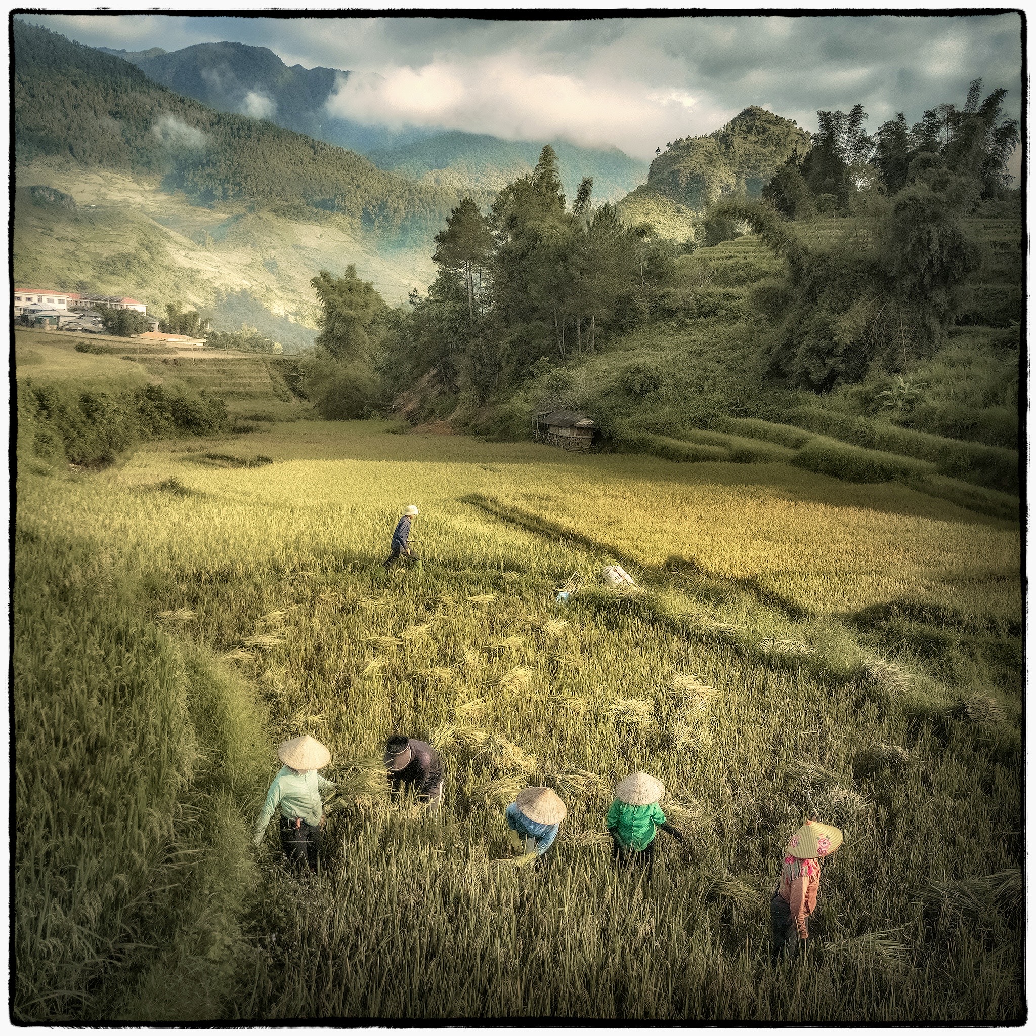 , Поляков Владимир