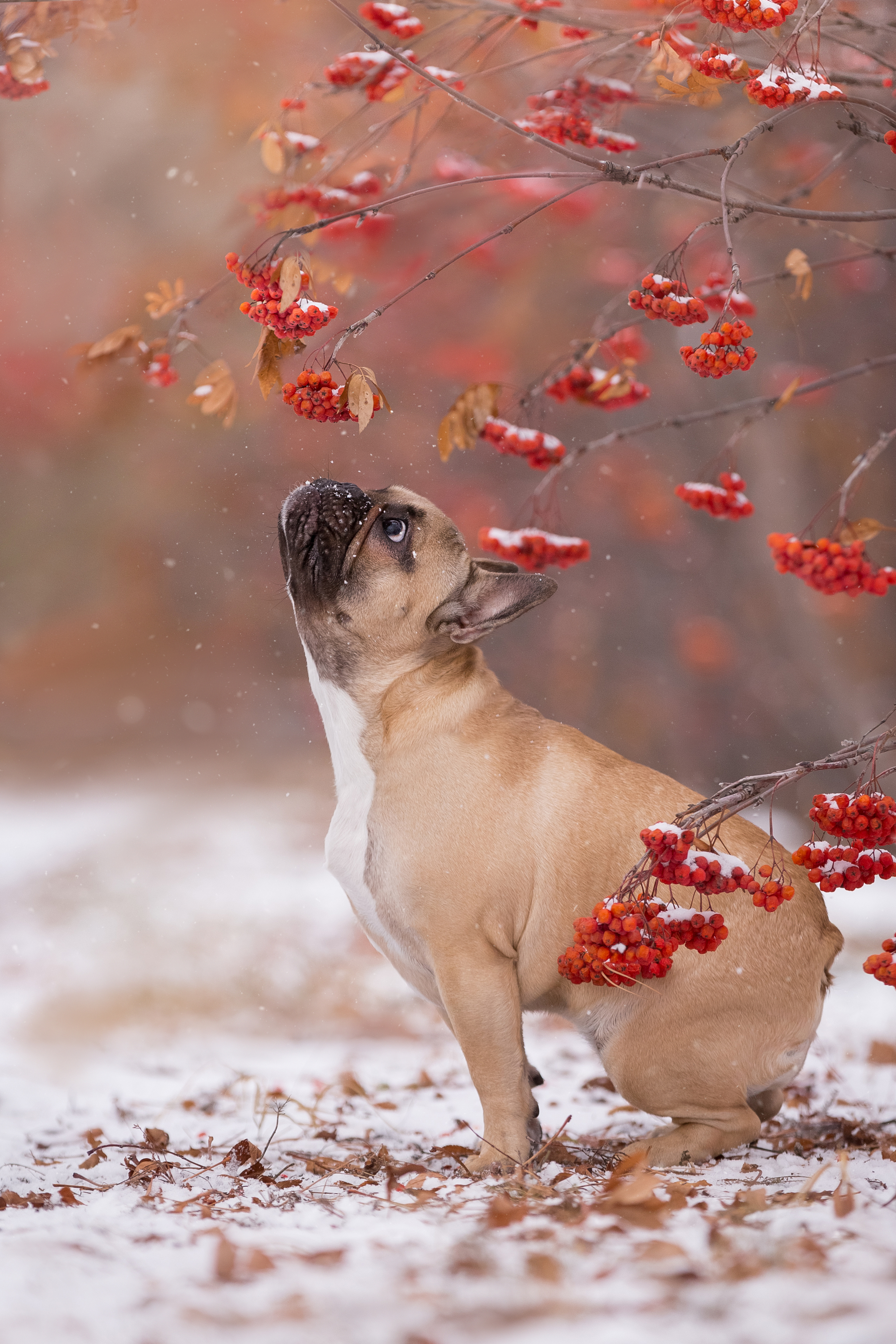 , Наталья Степанова