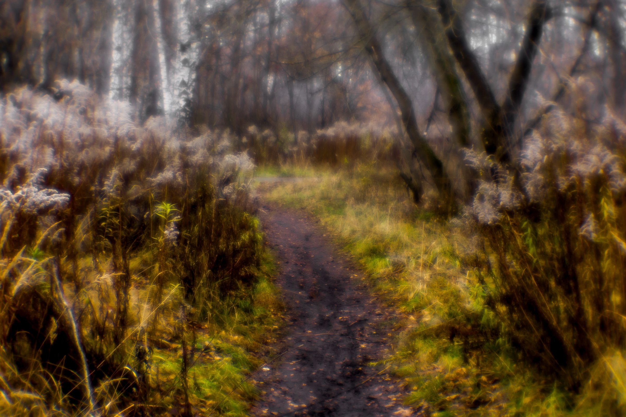 , Юрий Морозов