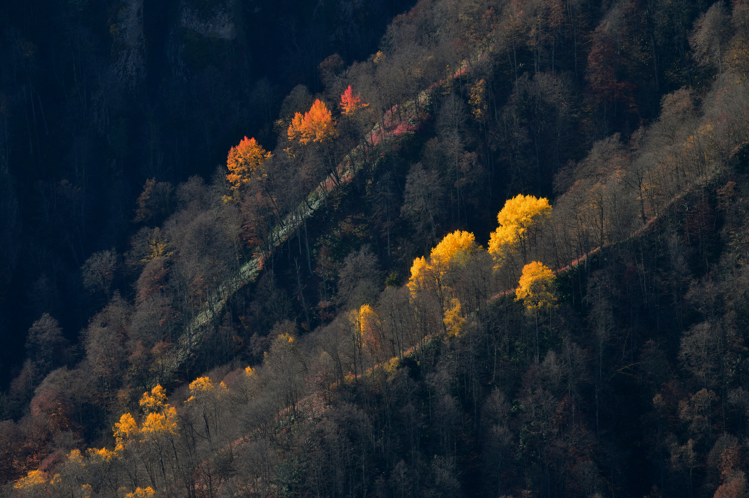 , Сергей Тихомиров