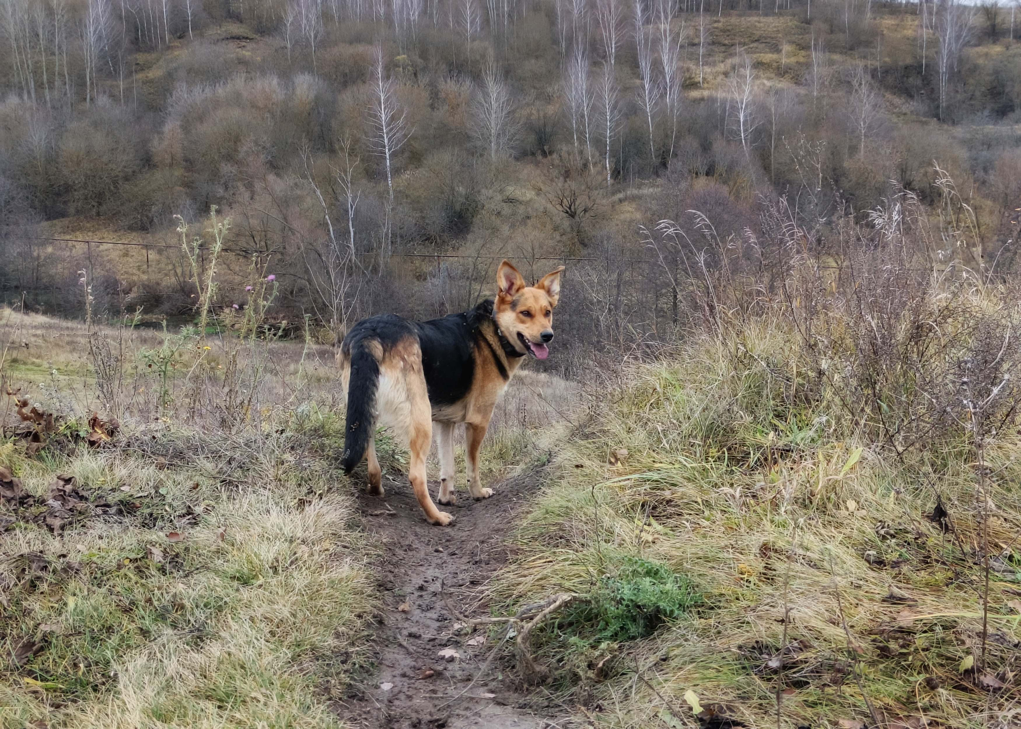 , Кондрашова Светлана