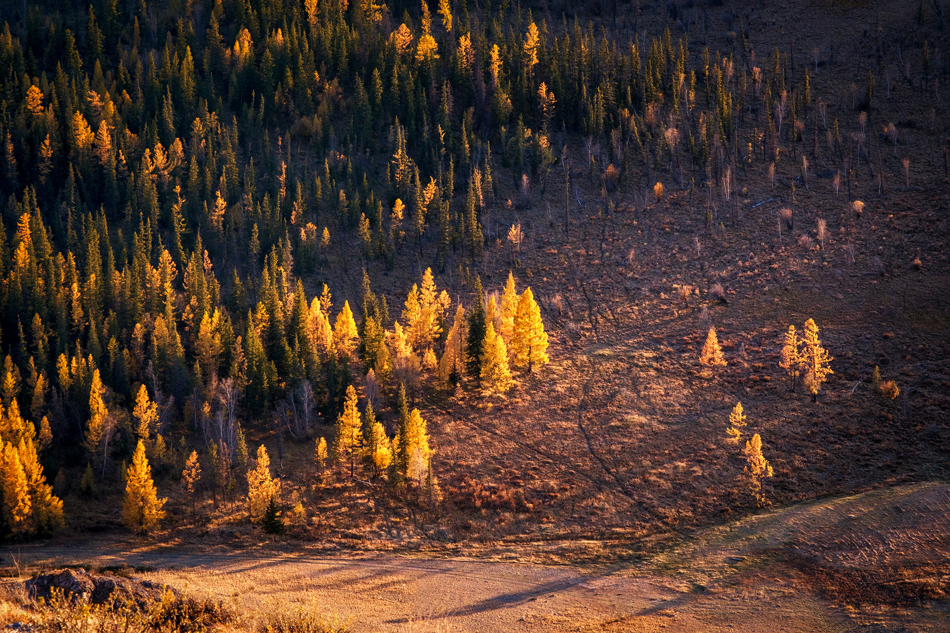 , Бодрягин Виталий