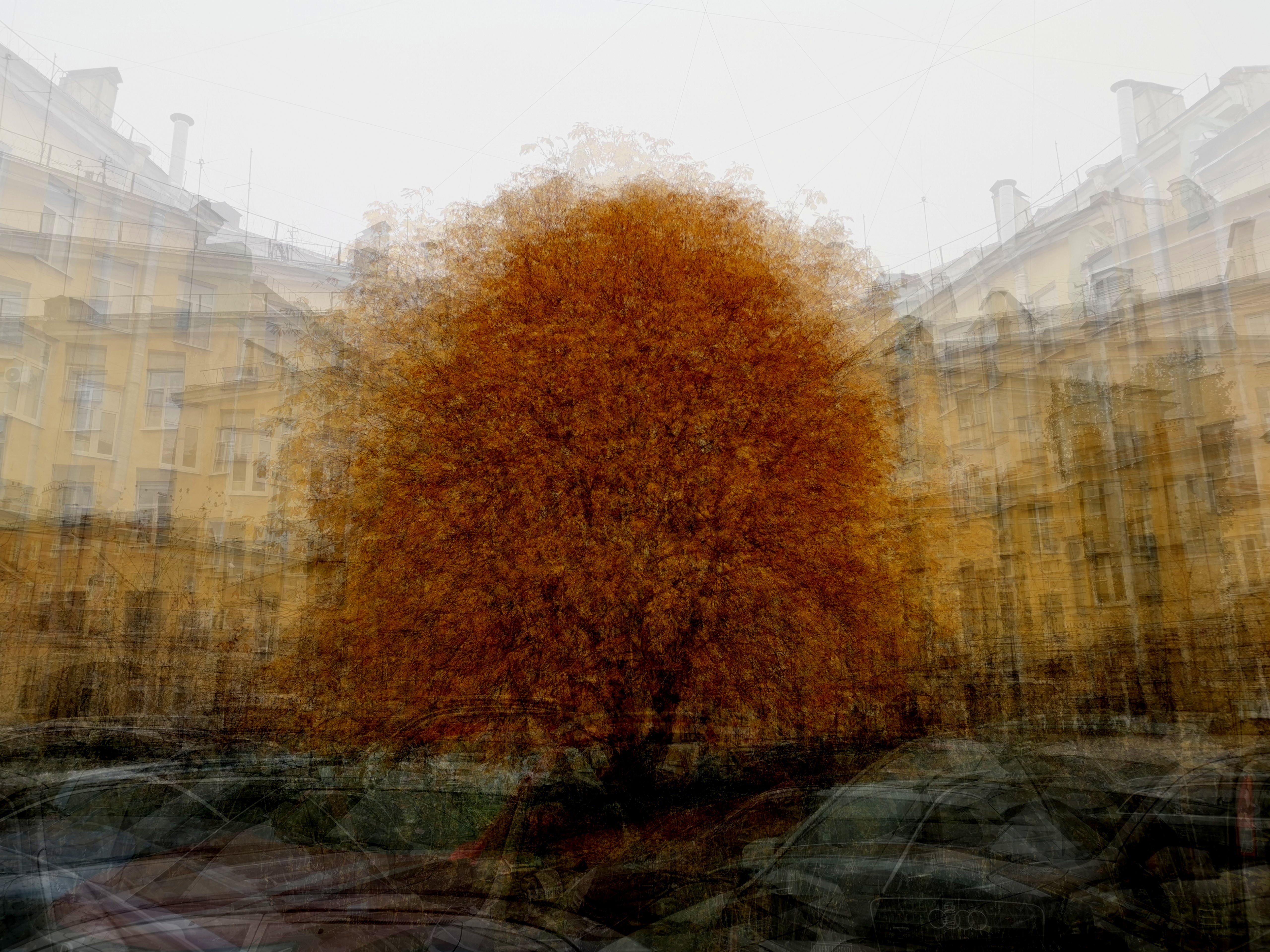 , Антон Лаба