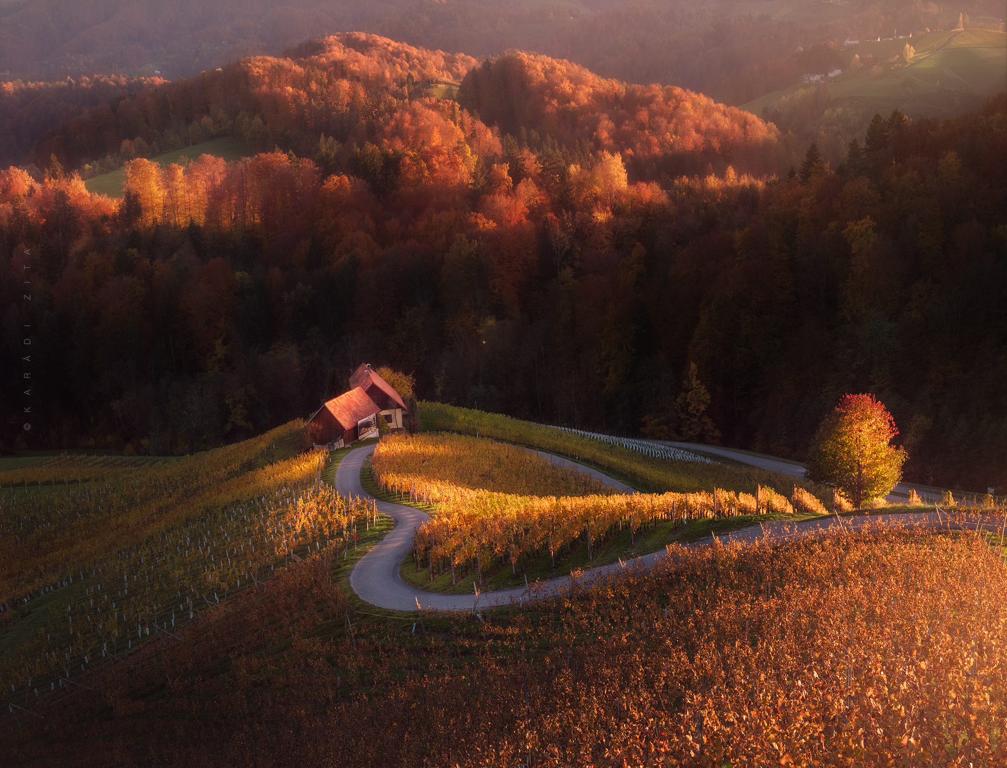slovenia, landscape, sunset, trees, forest, wineyeard, vinary, hills, europe, hungarianphotographer, autumn, Karádi Zita
