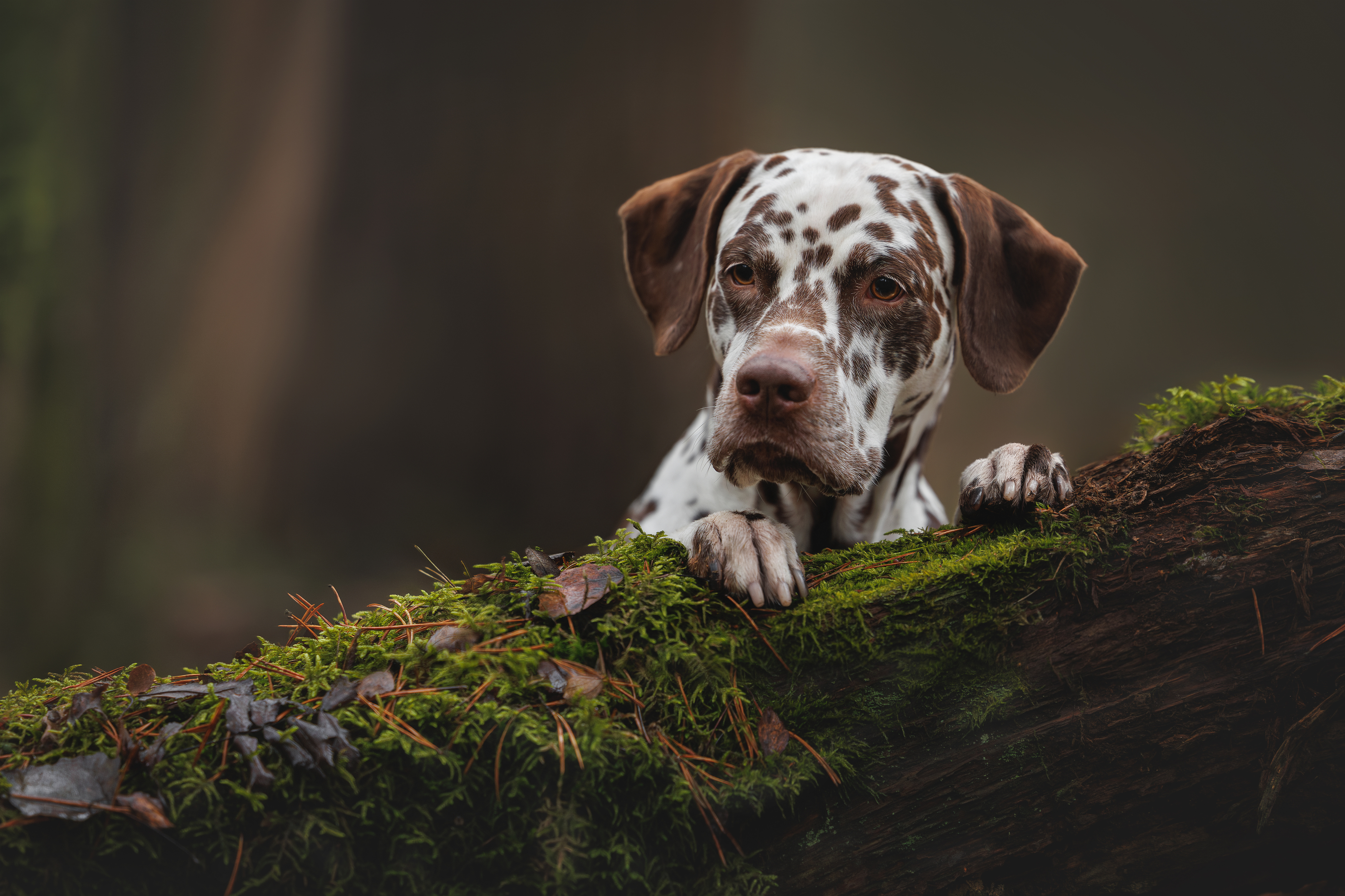 , Яна Нарбутович