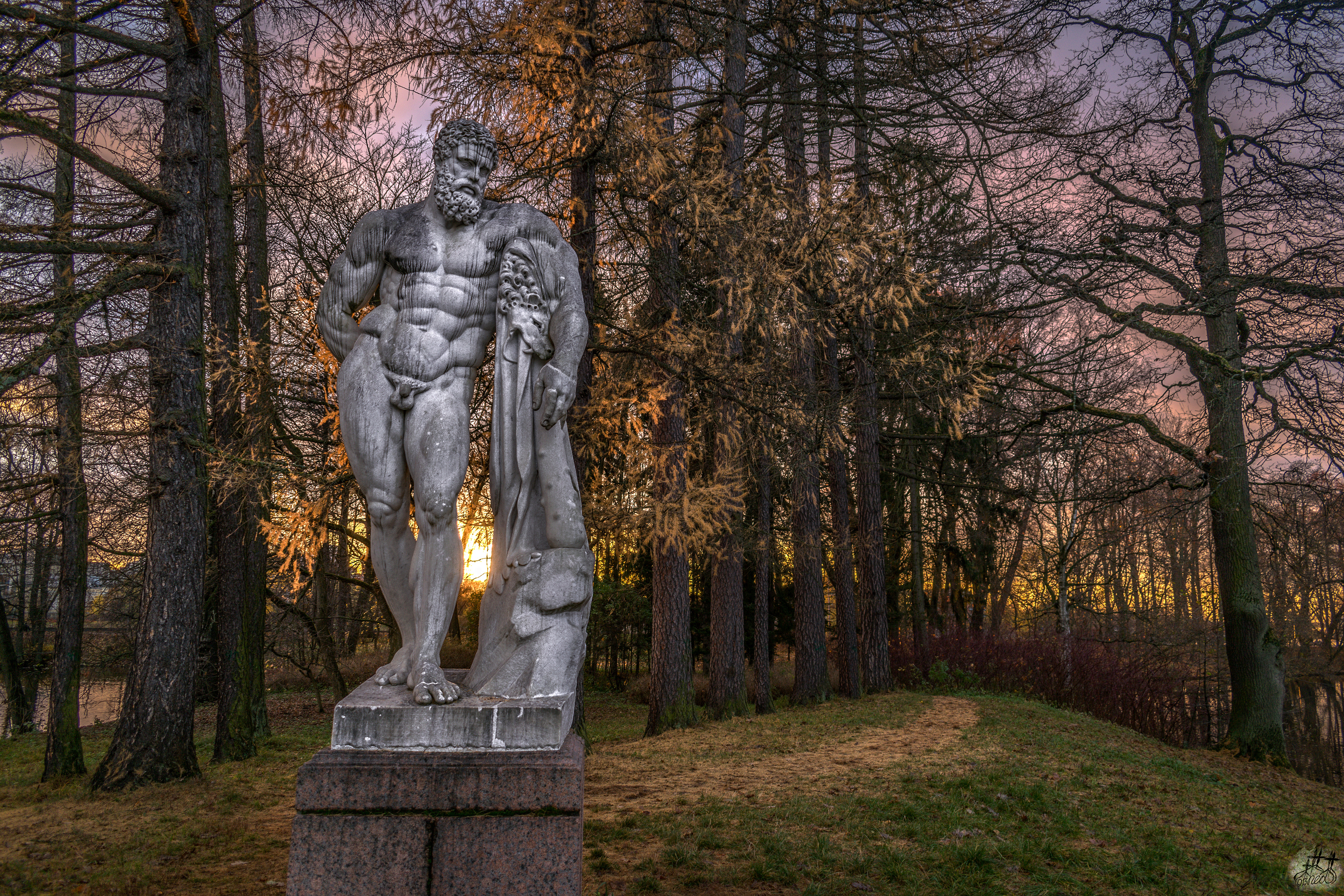 , Николай Беликов