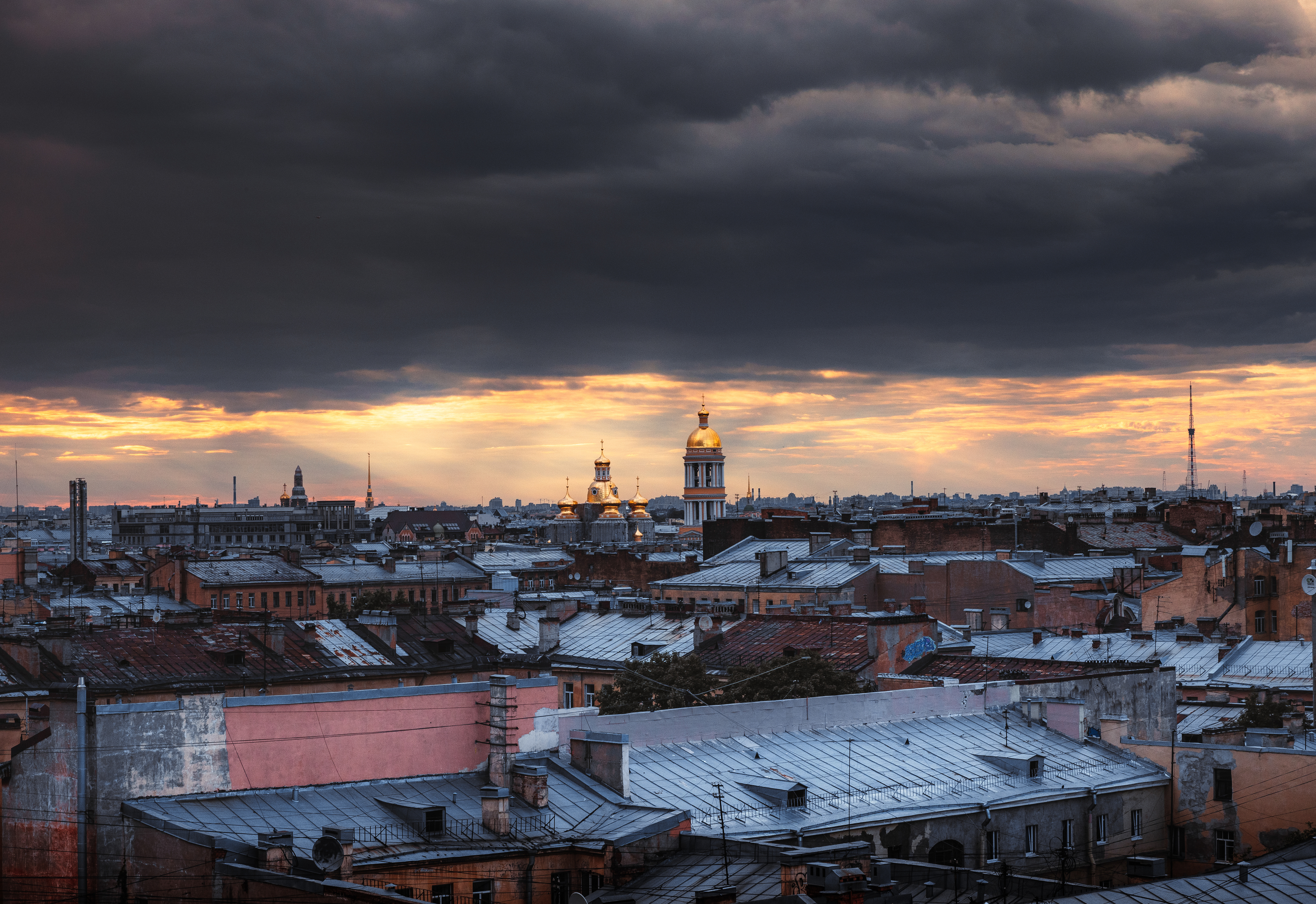 , Трепольский Дмитрий