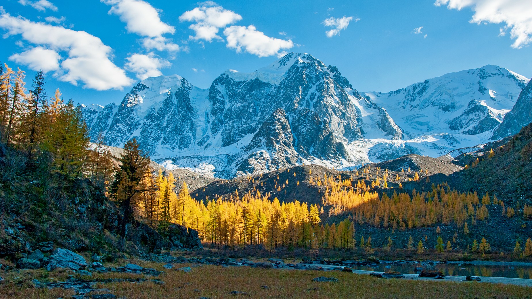 алтай, семёновское, озеро, мечта, красавица, сказка, осень, лиственницы, вечер, Мальцев Юрий