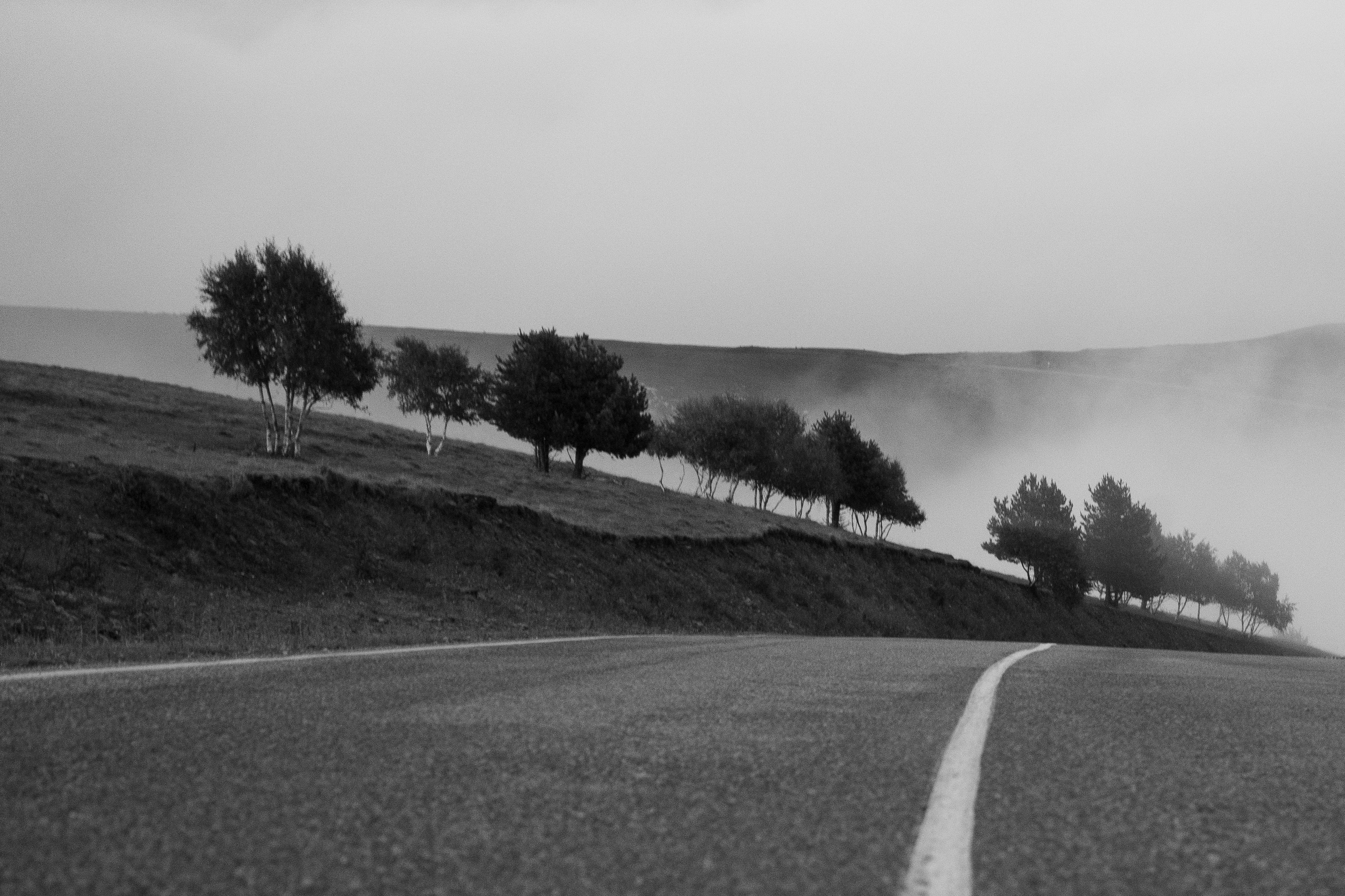 , Стеценко Александр