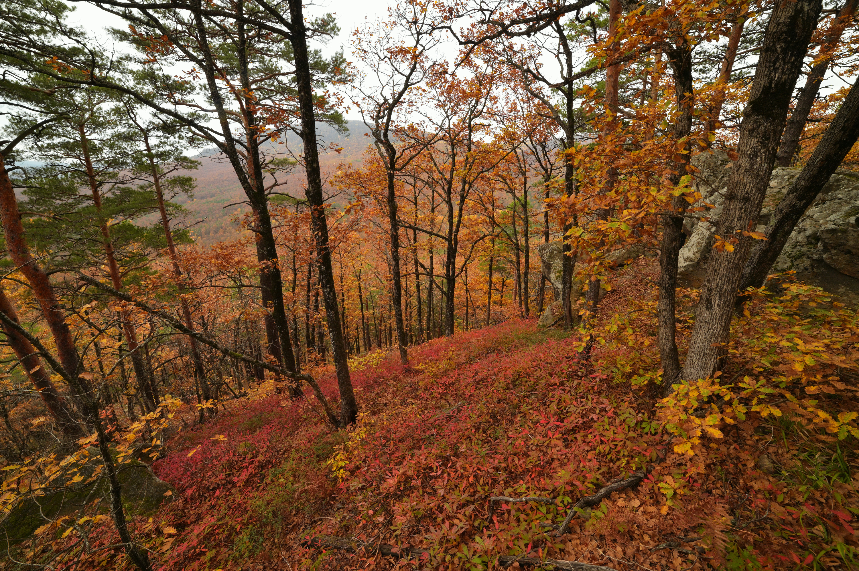 , Сергей Тихомиров