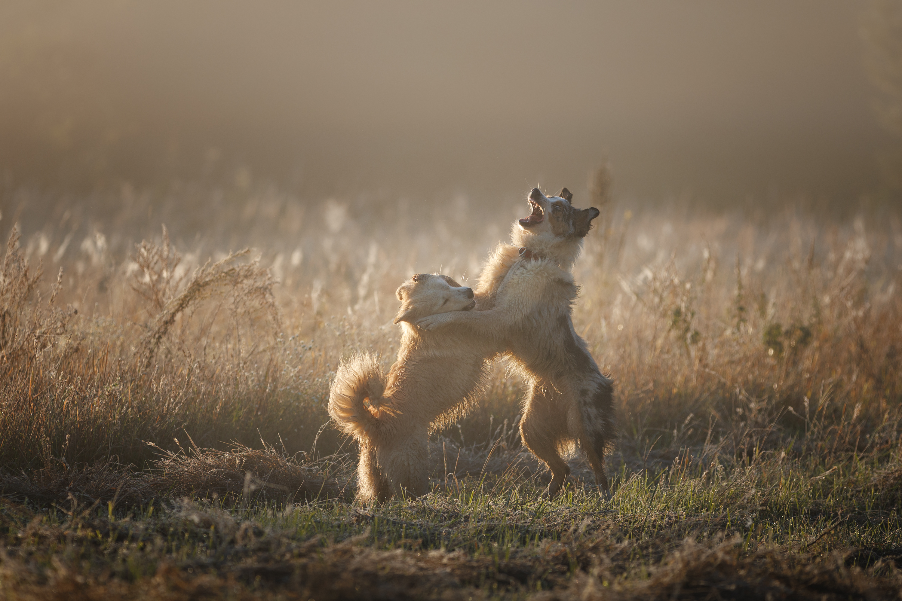 , Шерскова Мария