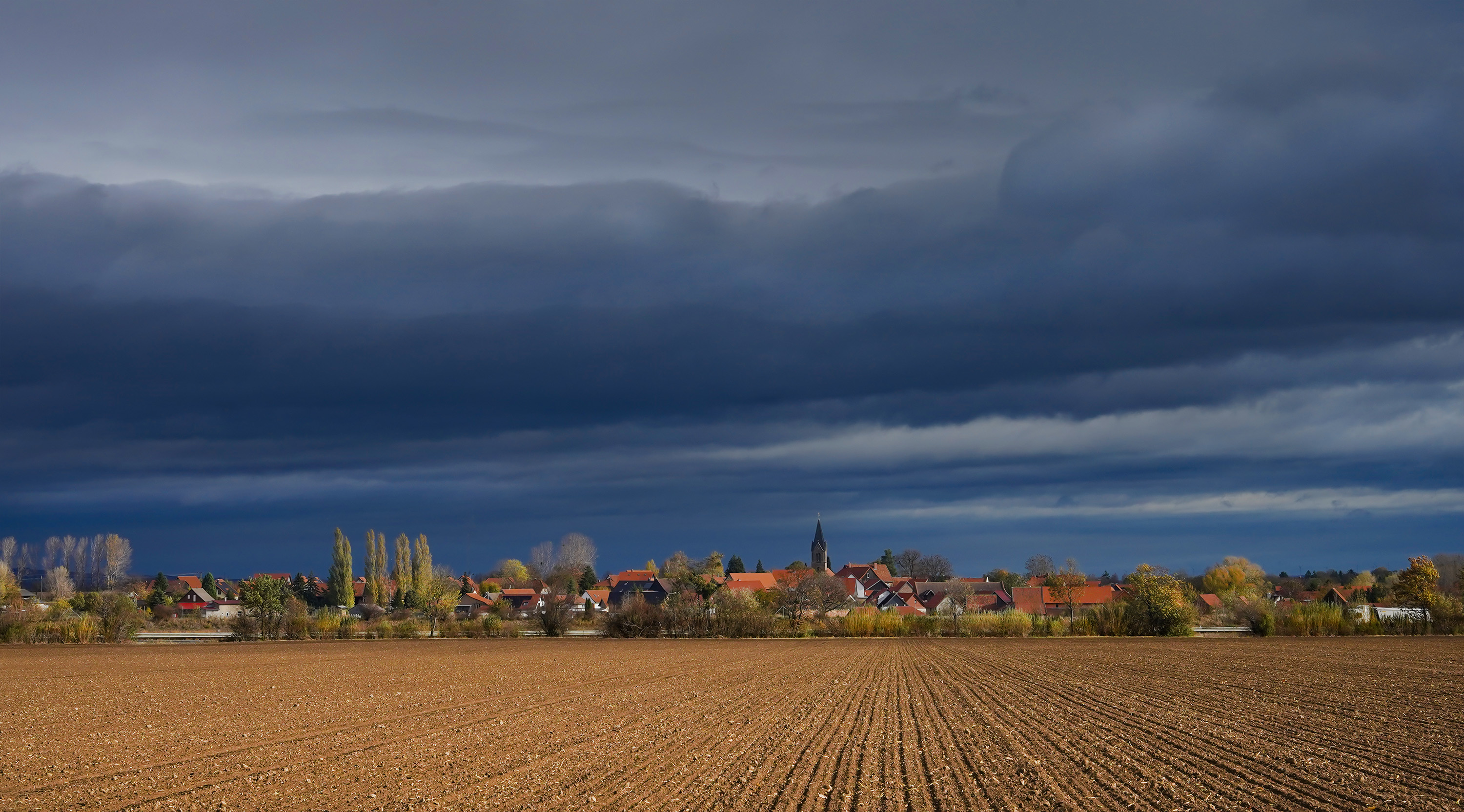 , Игорь Дубровский
