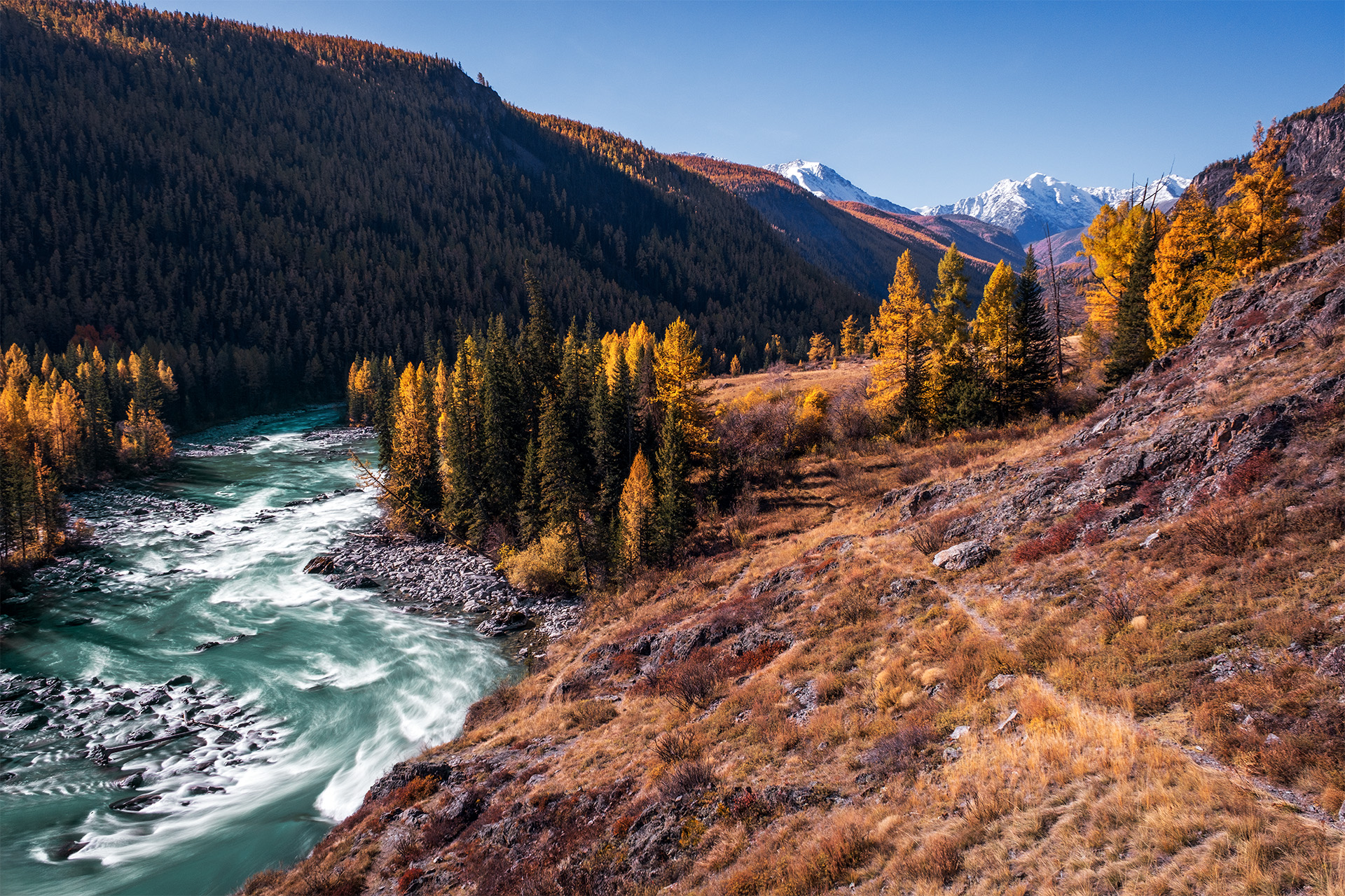 , Бодрягин Виталий