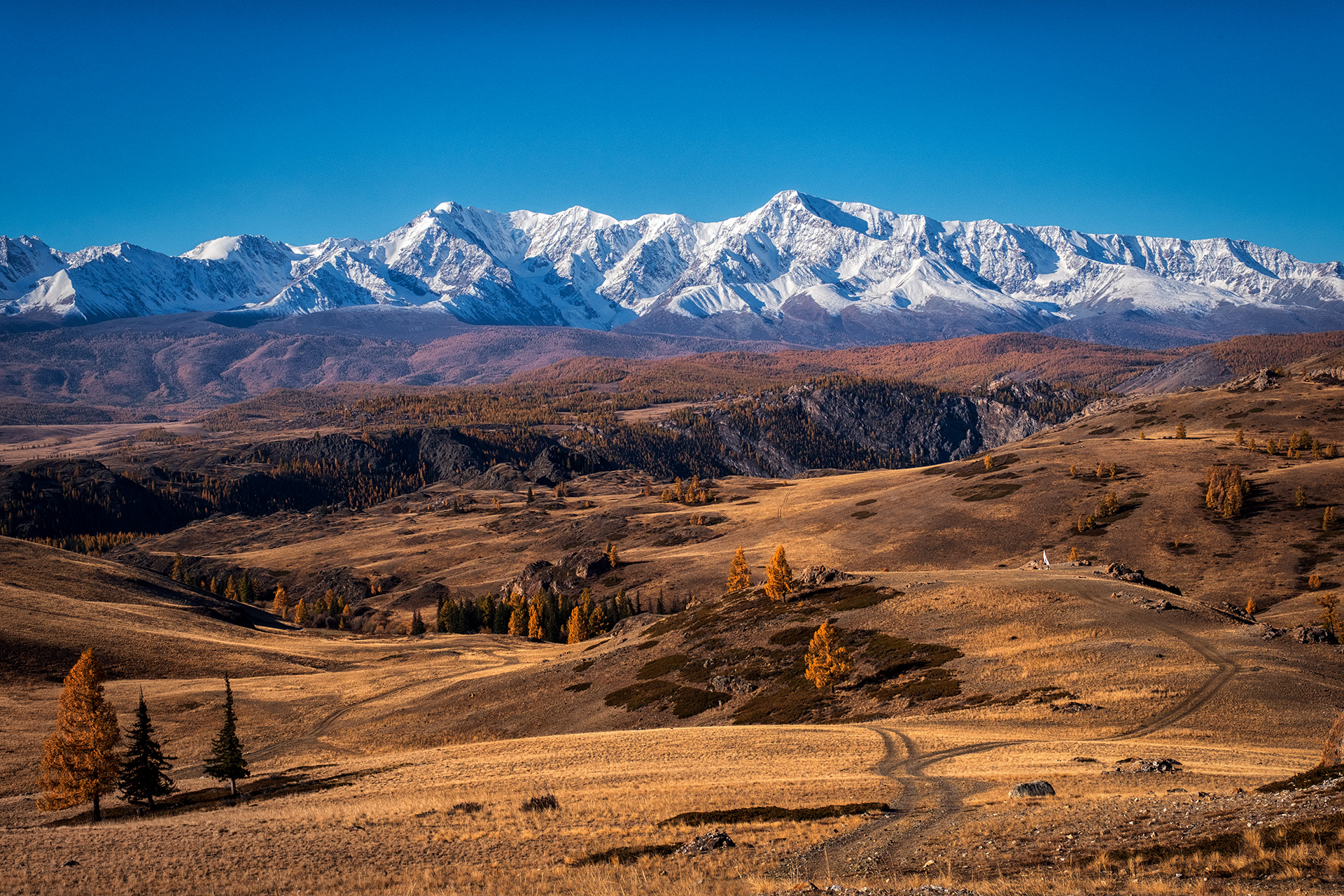 , Бодрягин Виталий
