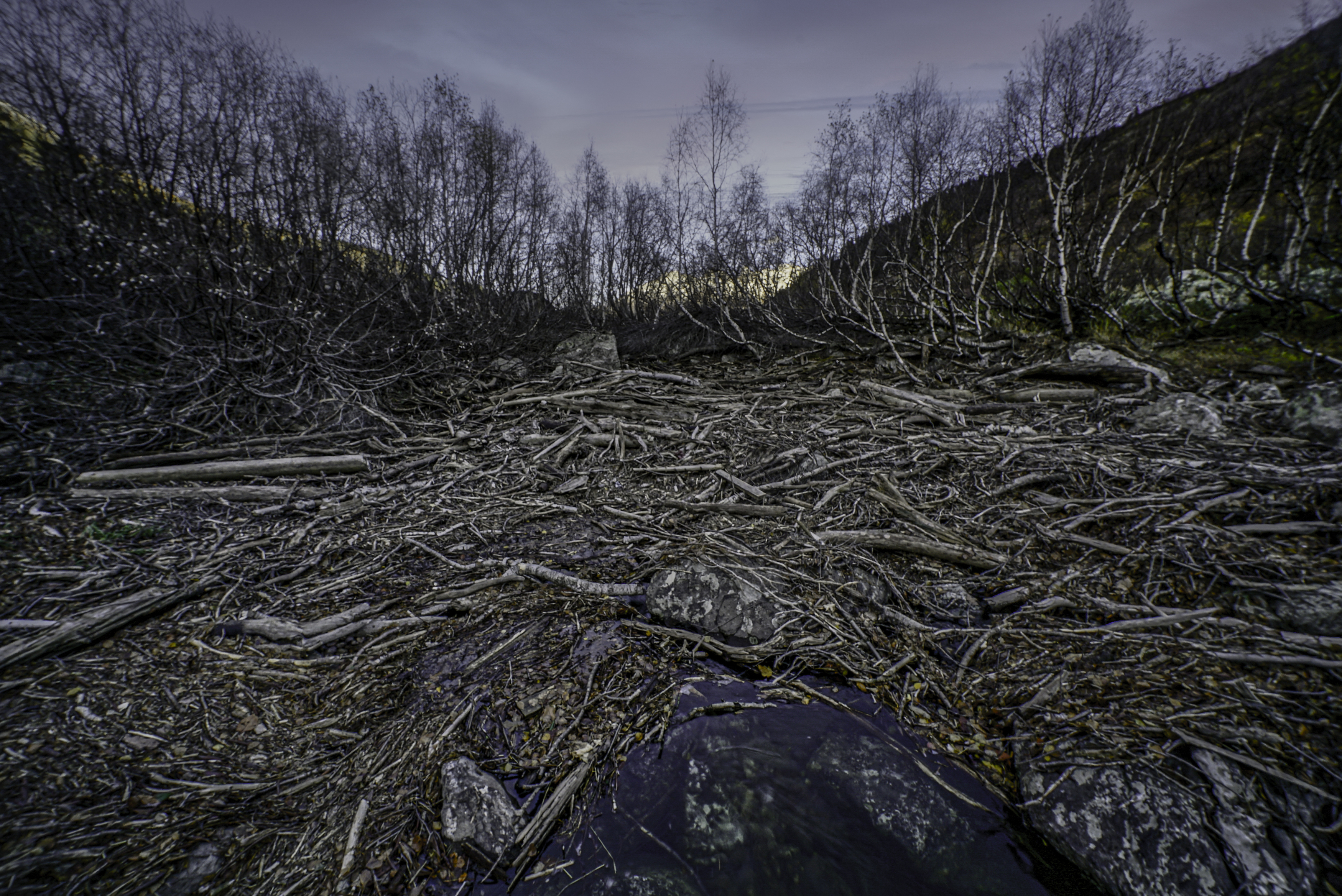 Россия, Карачаево-Черкессия, Домбай, Тебердинский заповедник, Бадукские озера, Гаврилов Юрий