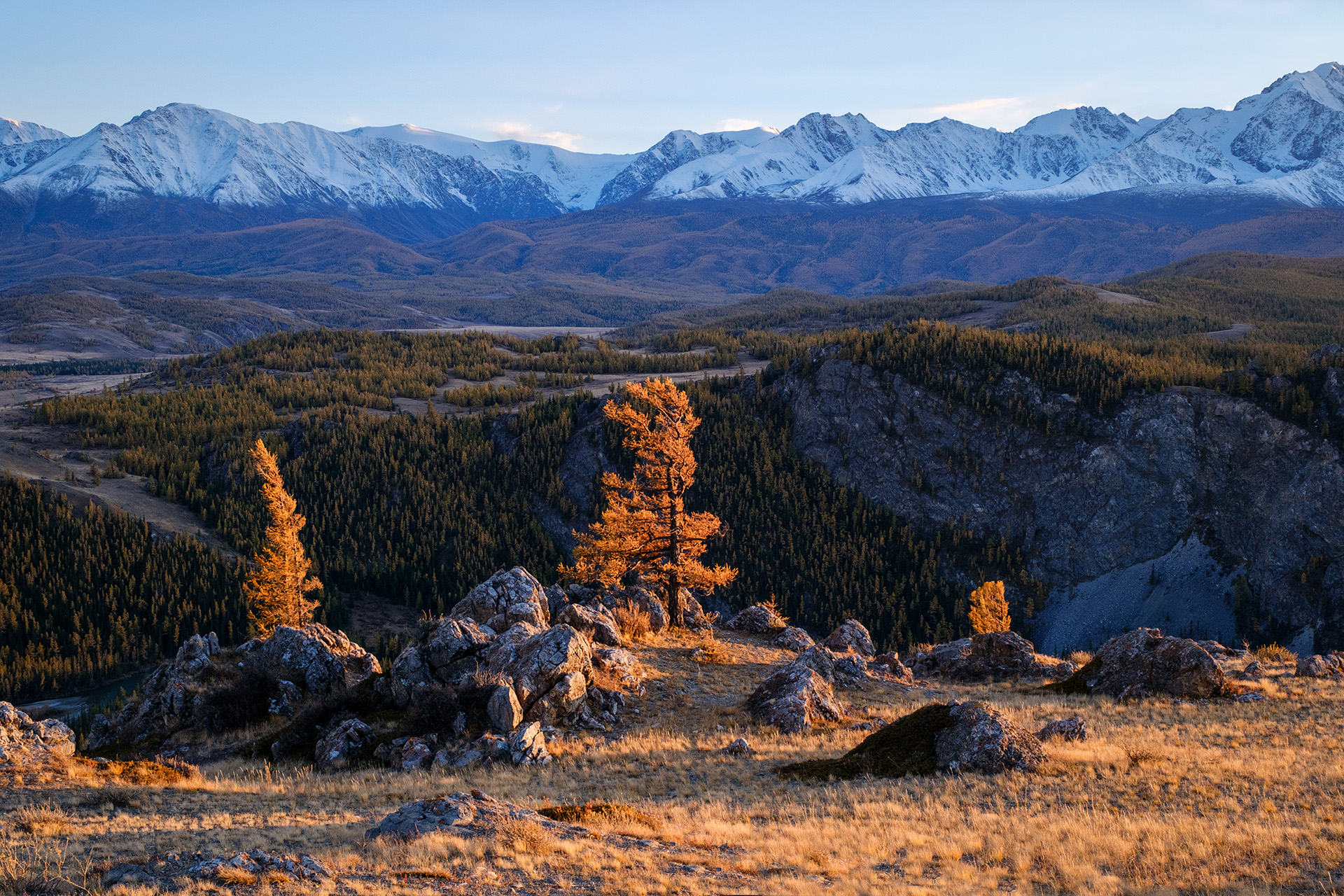 , Бодрягин Виталий