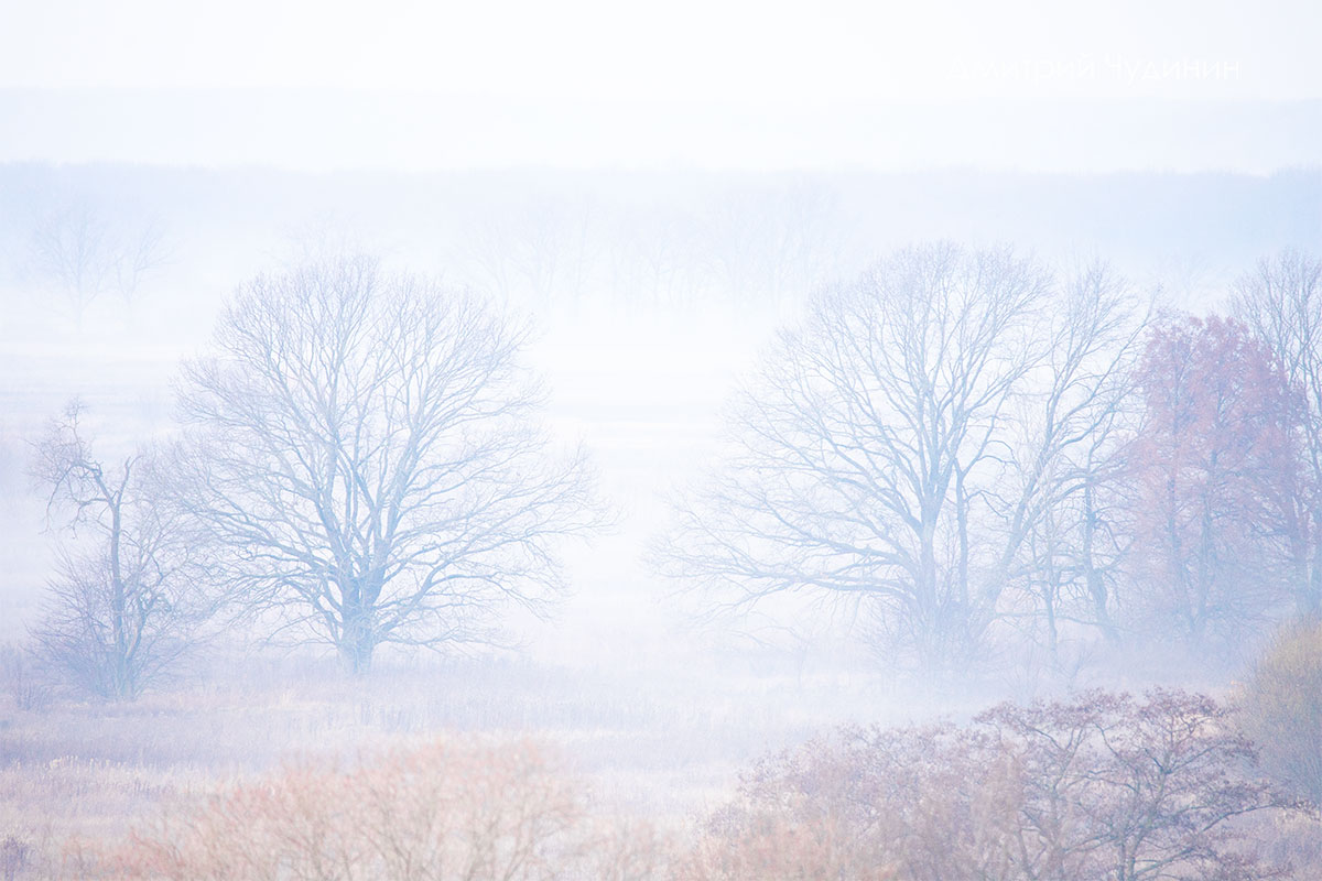 , Чудинин Дмитрий