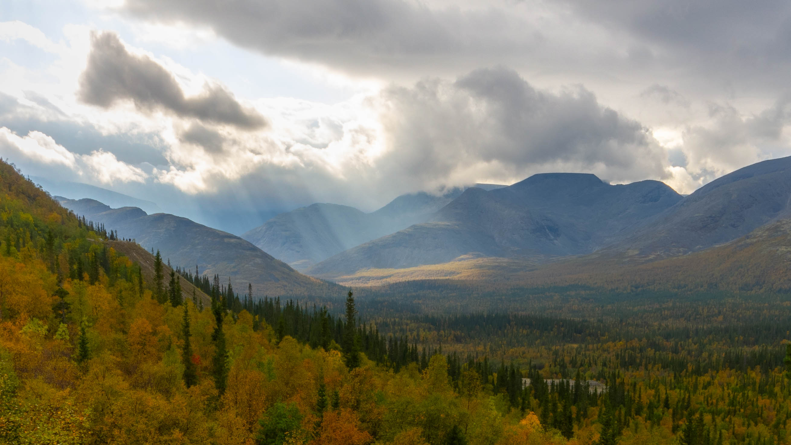 , Комарова Вера