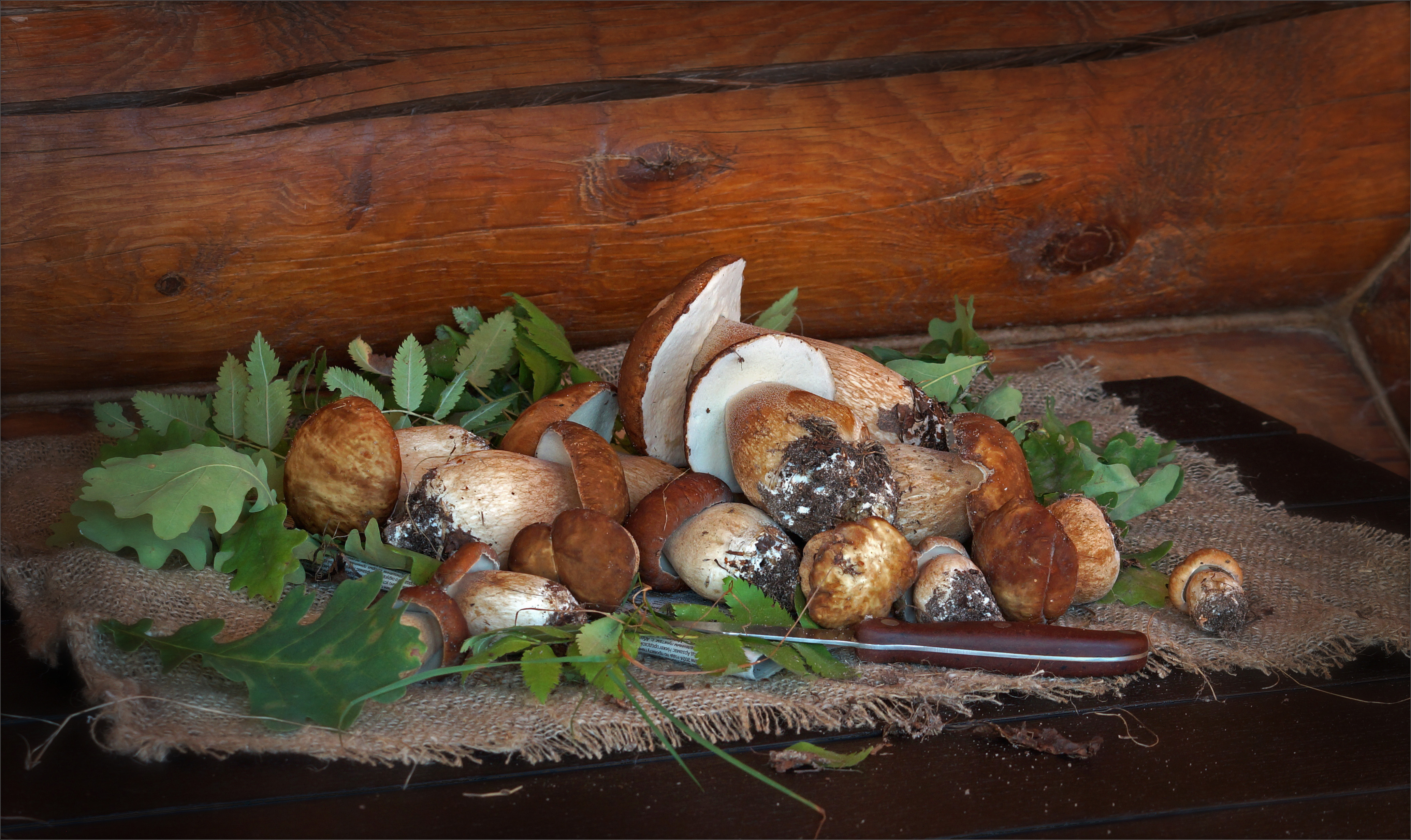 грибы белые натюрморт, Чумаков Александр