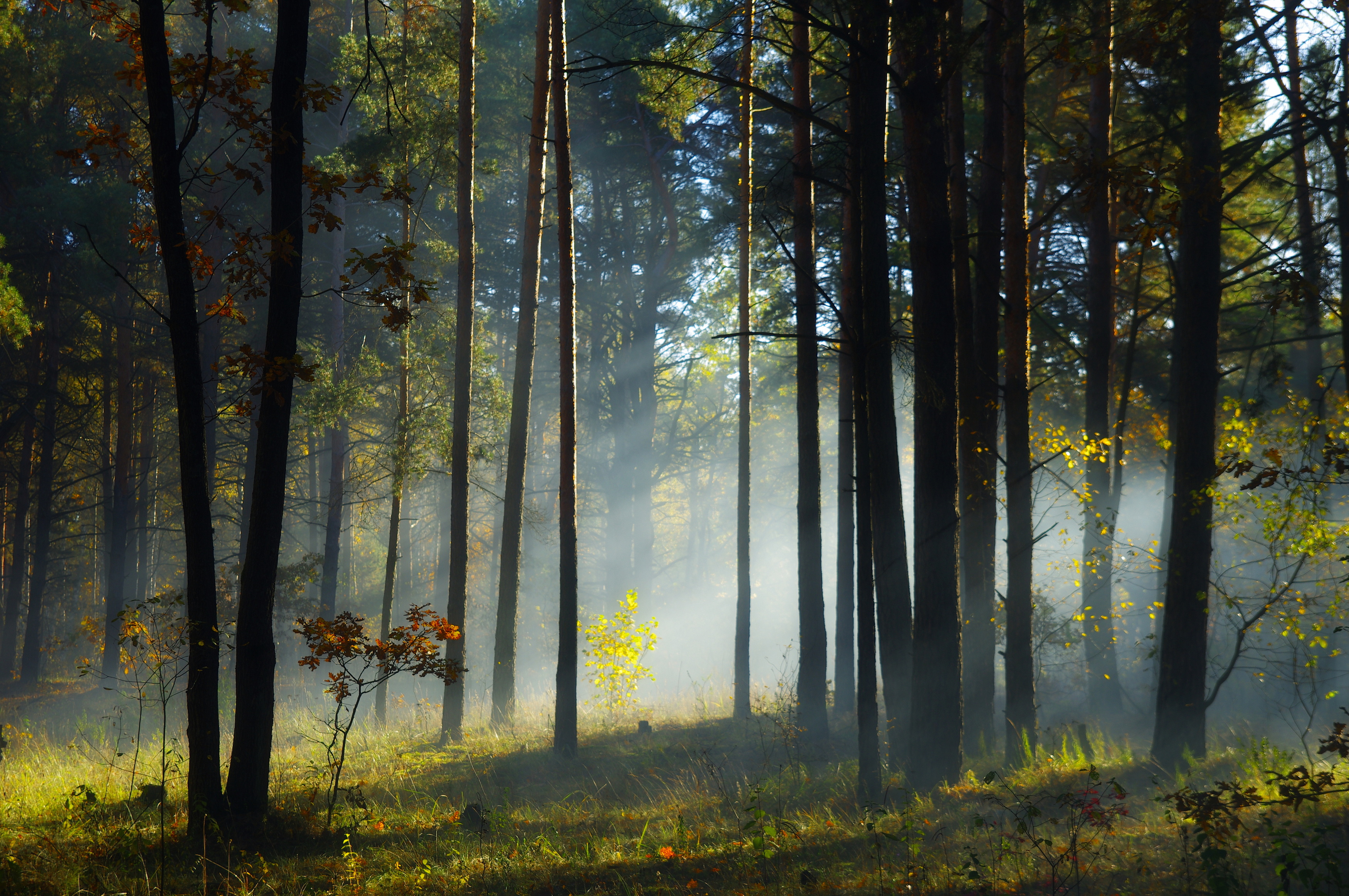 , Шляга Сергей