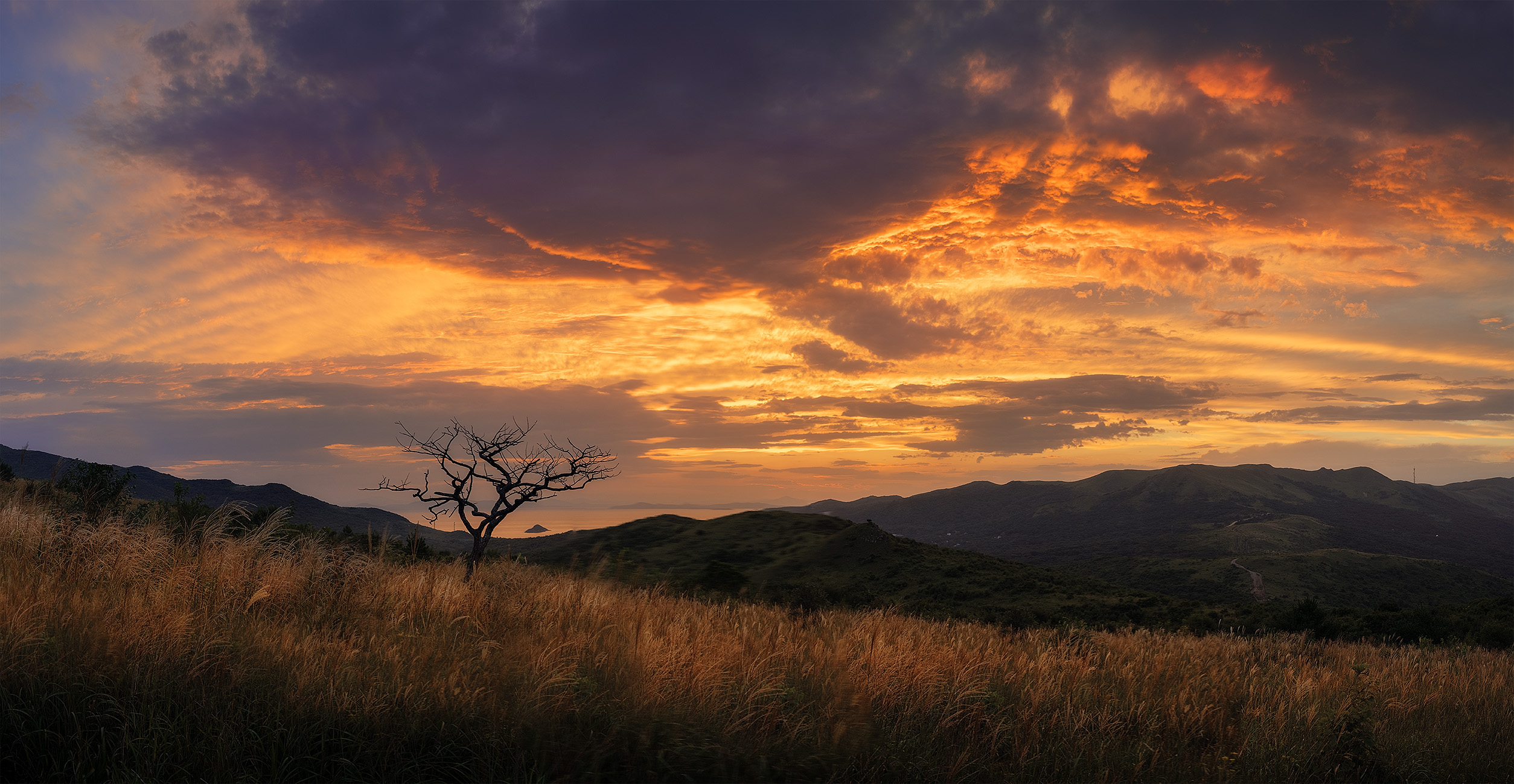 , Андрей Родионов