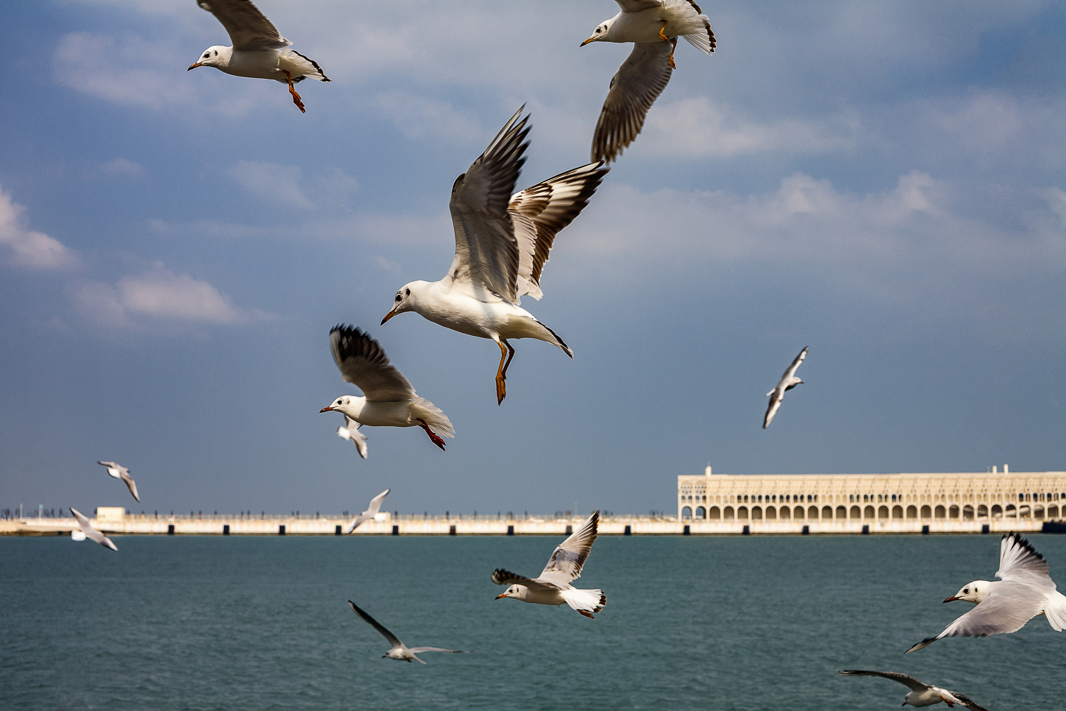 , Пимонов Сергей