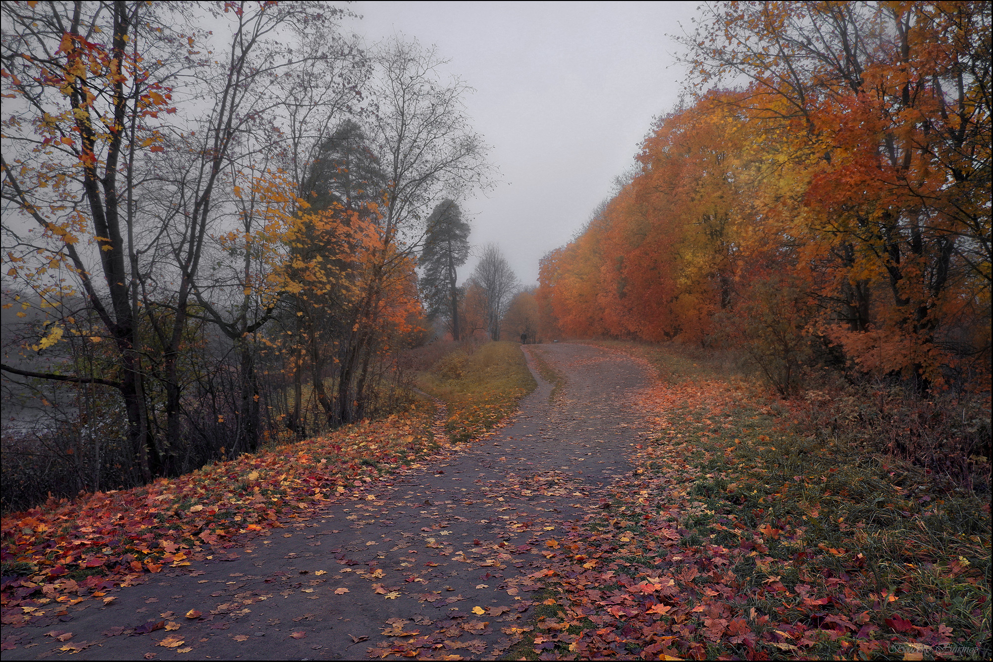 , Болеско Виктор