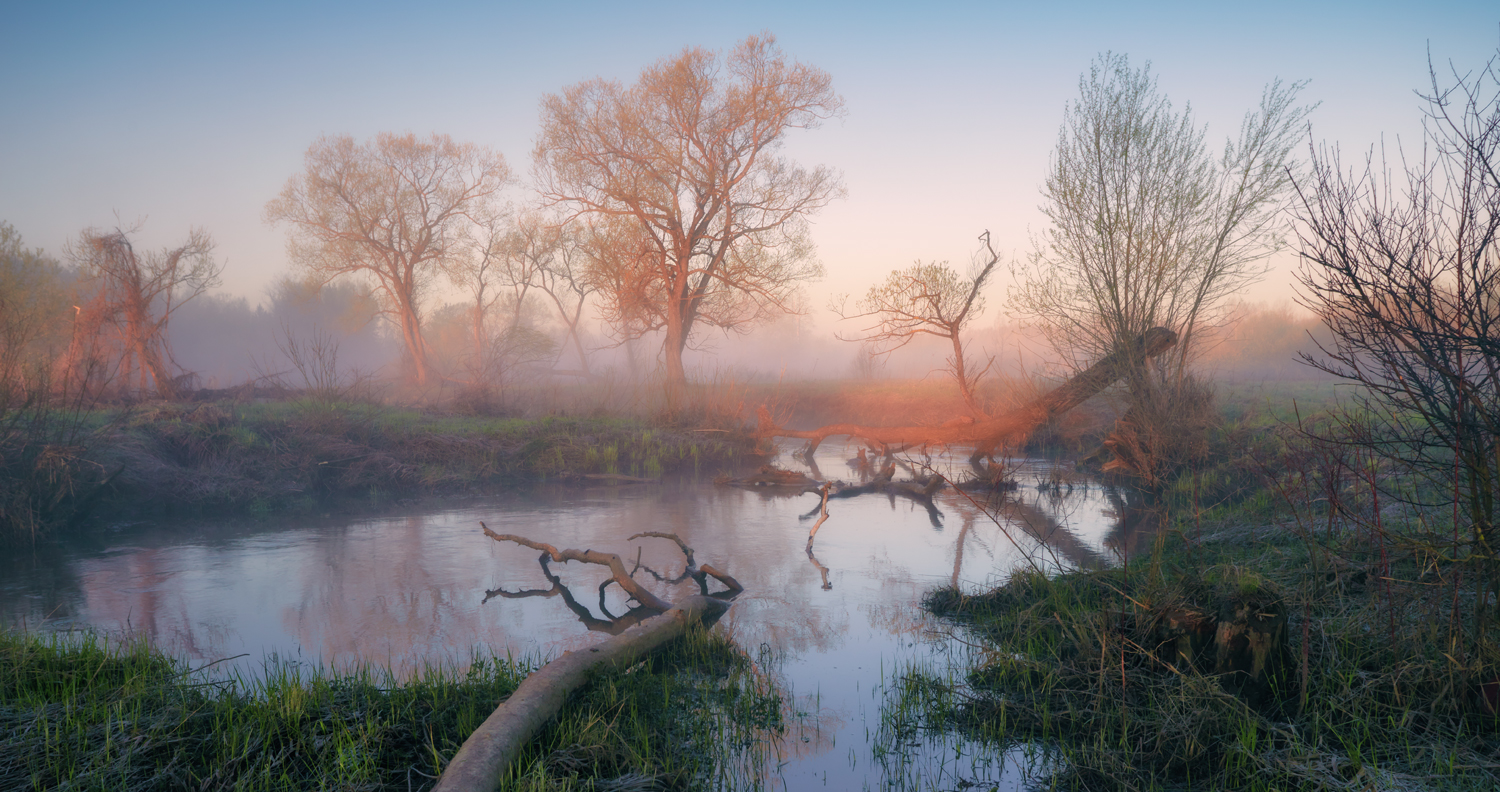 , Роман Лушпа