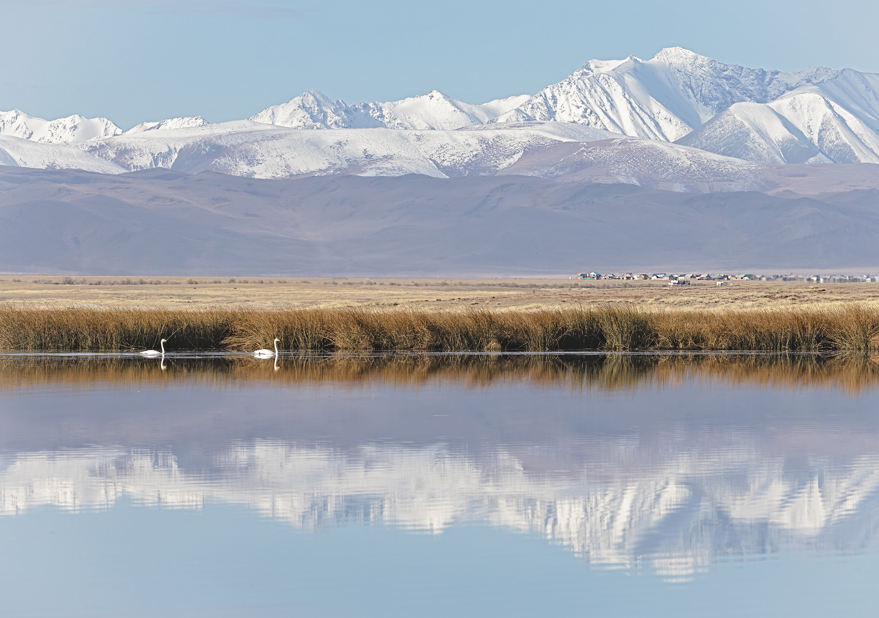 неразлучная пара..., Бирюков Вячеслав