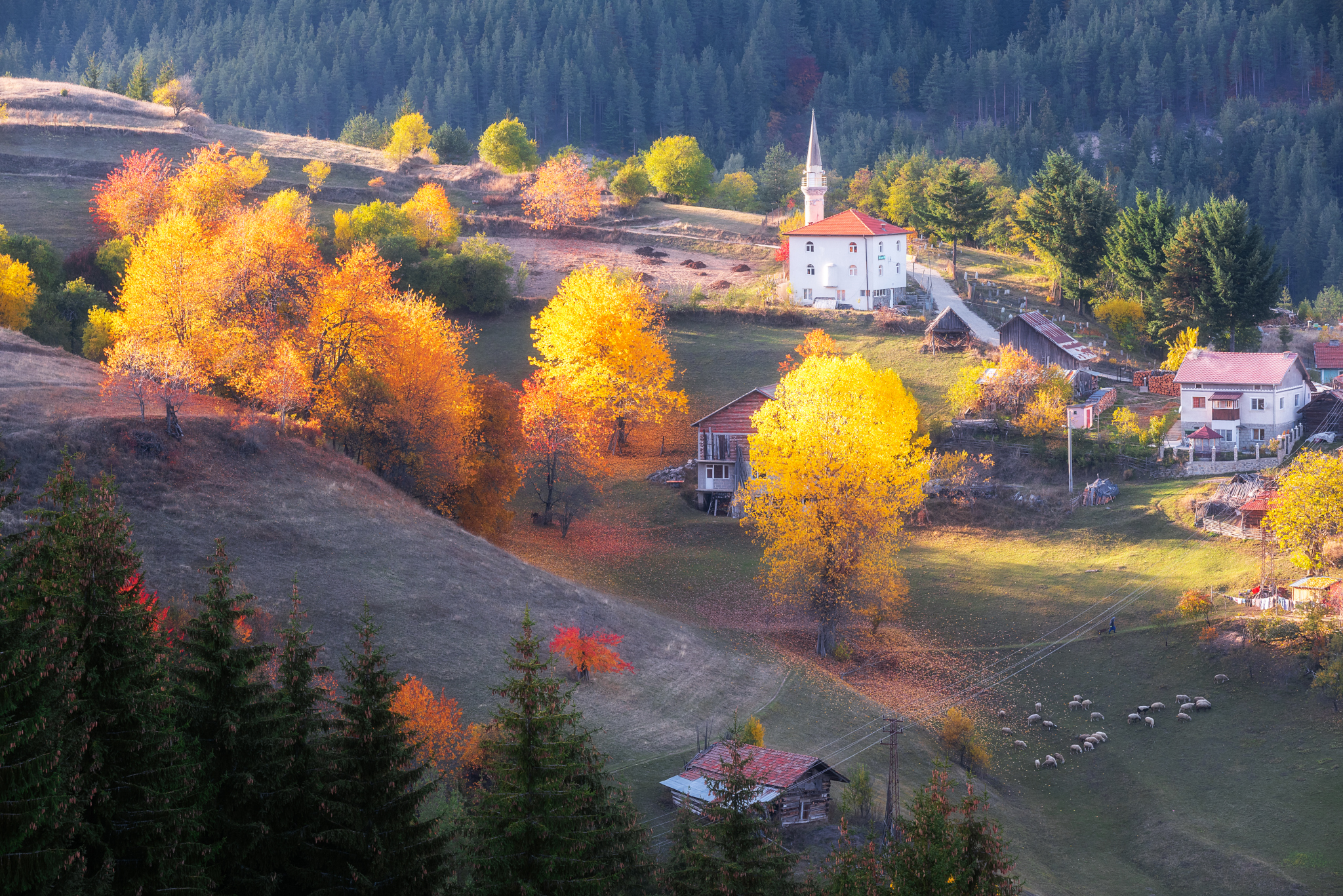 , Mariyana Atanasova - Lucero