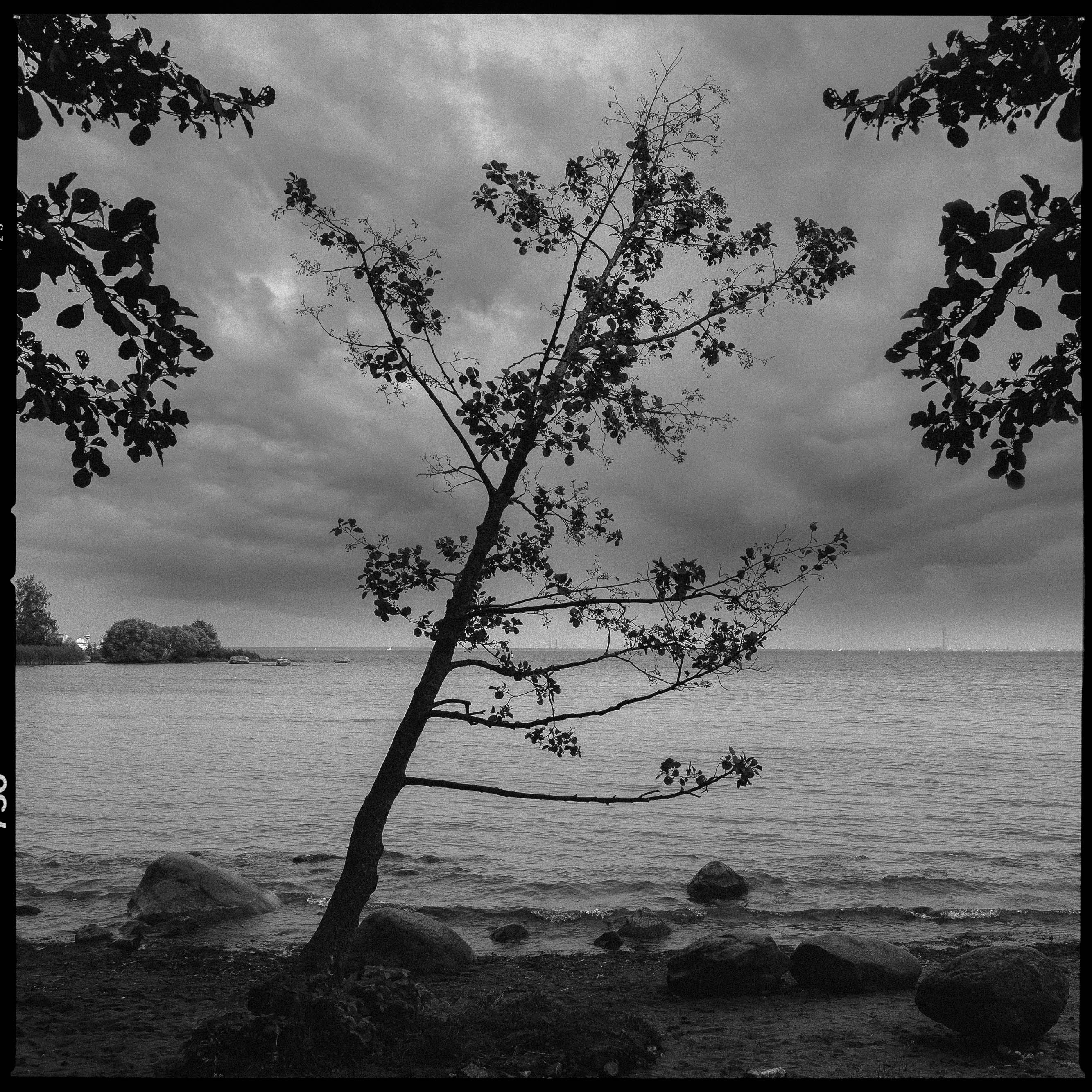 пейзаж, город, санкт петербург, чб, черно белое, репортаж, петергоф, Жирнов Андрей