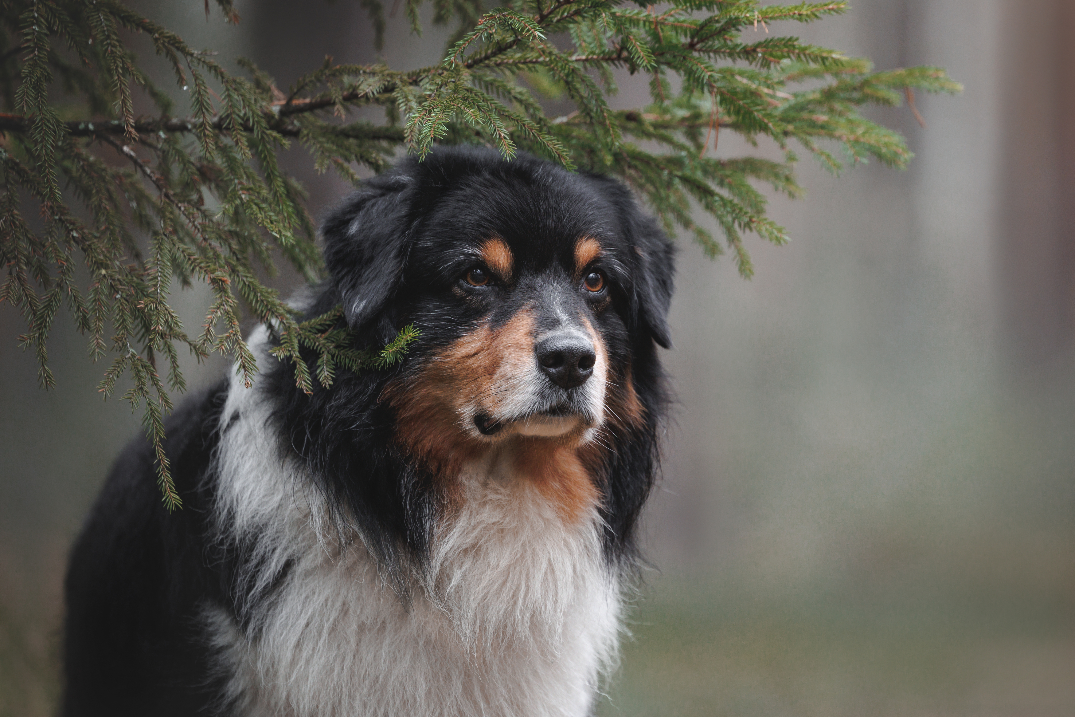 , Яна Нарбутович