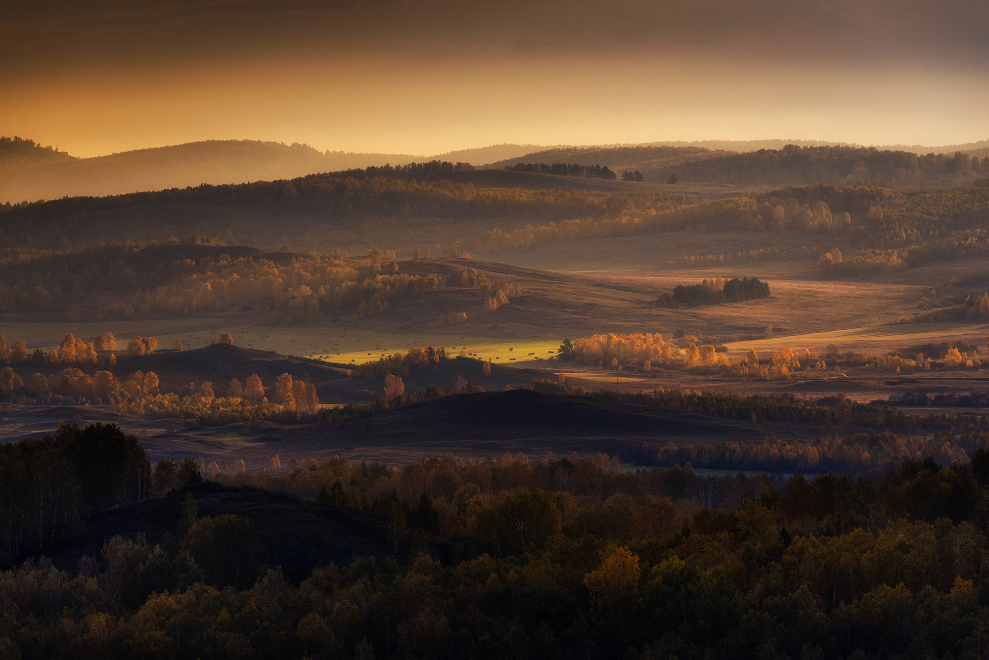 , Бирюкова Татьяна