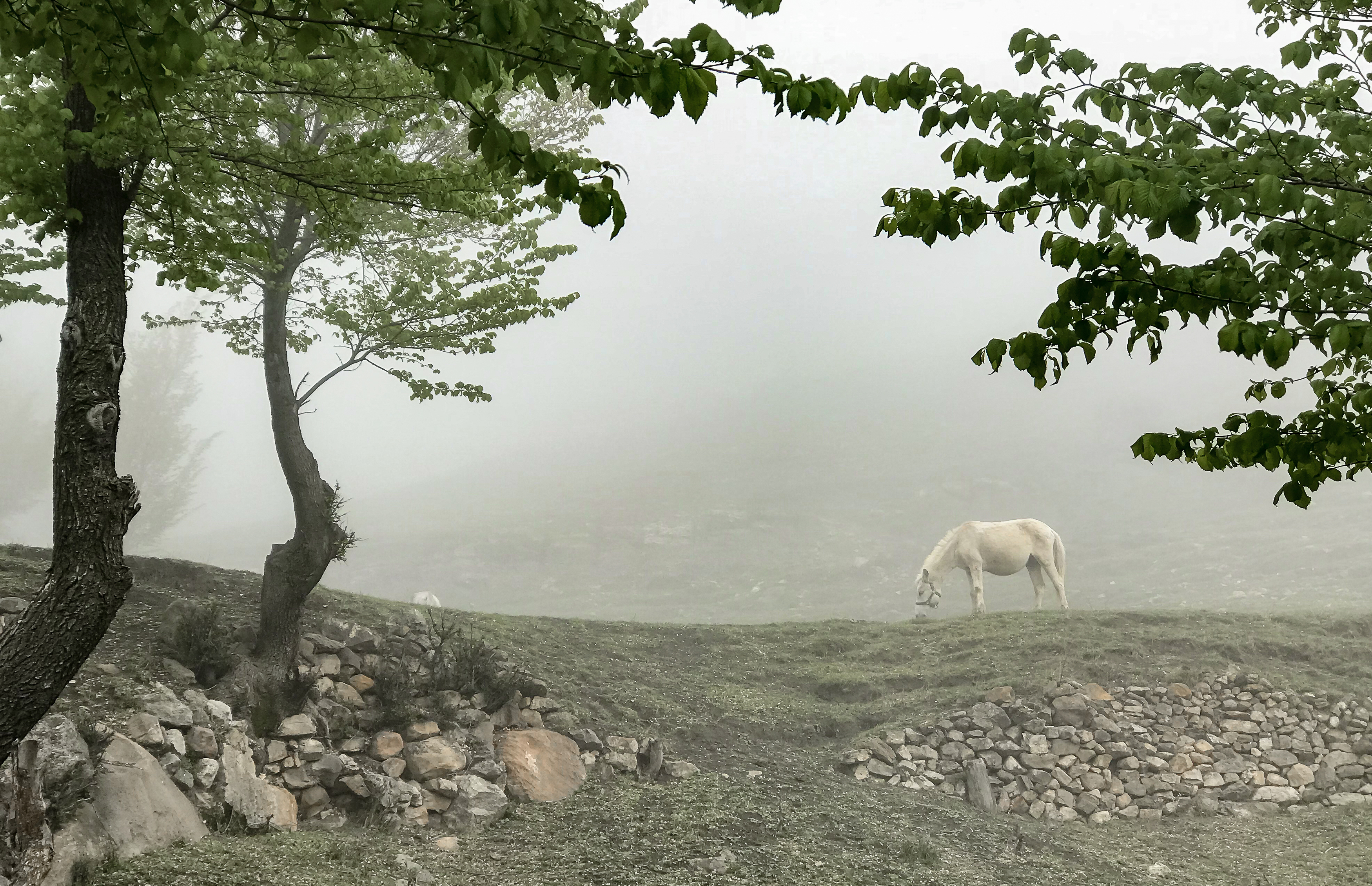 , Виктор Белименко