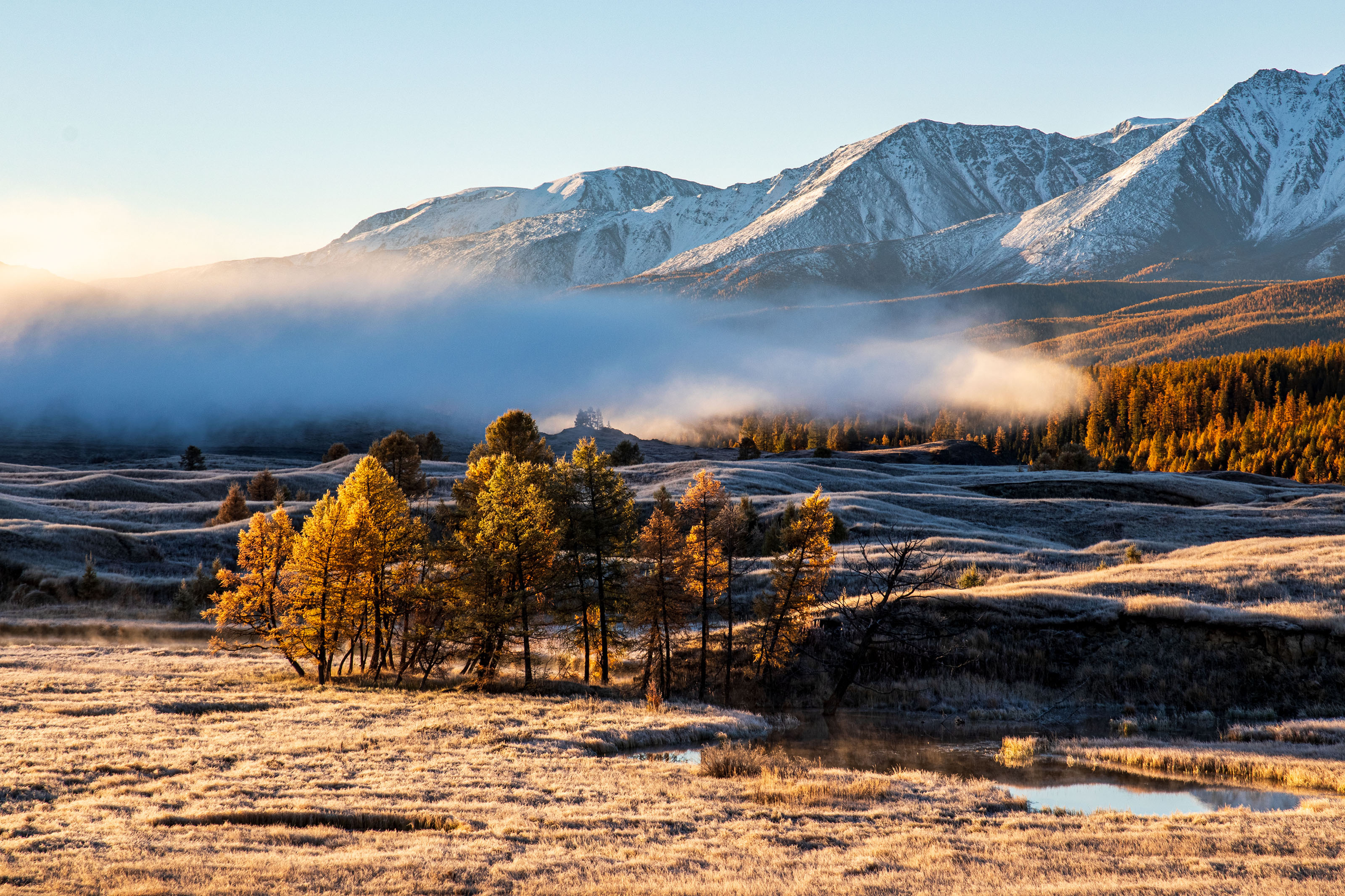 алтай, Добролюбова Тамара