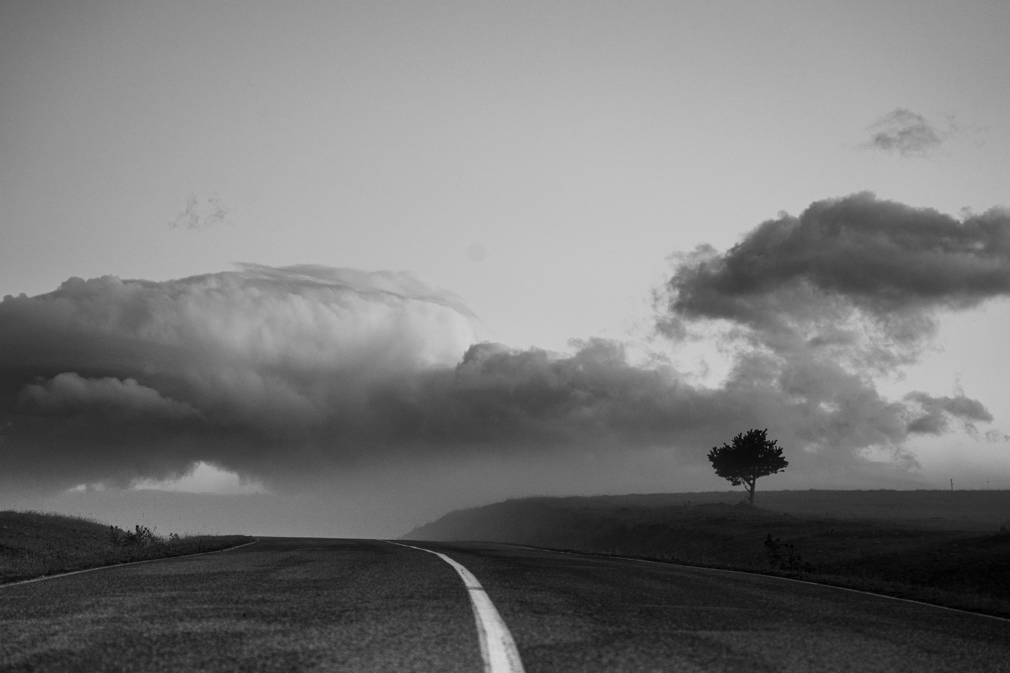 , Стеценко Александр